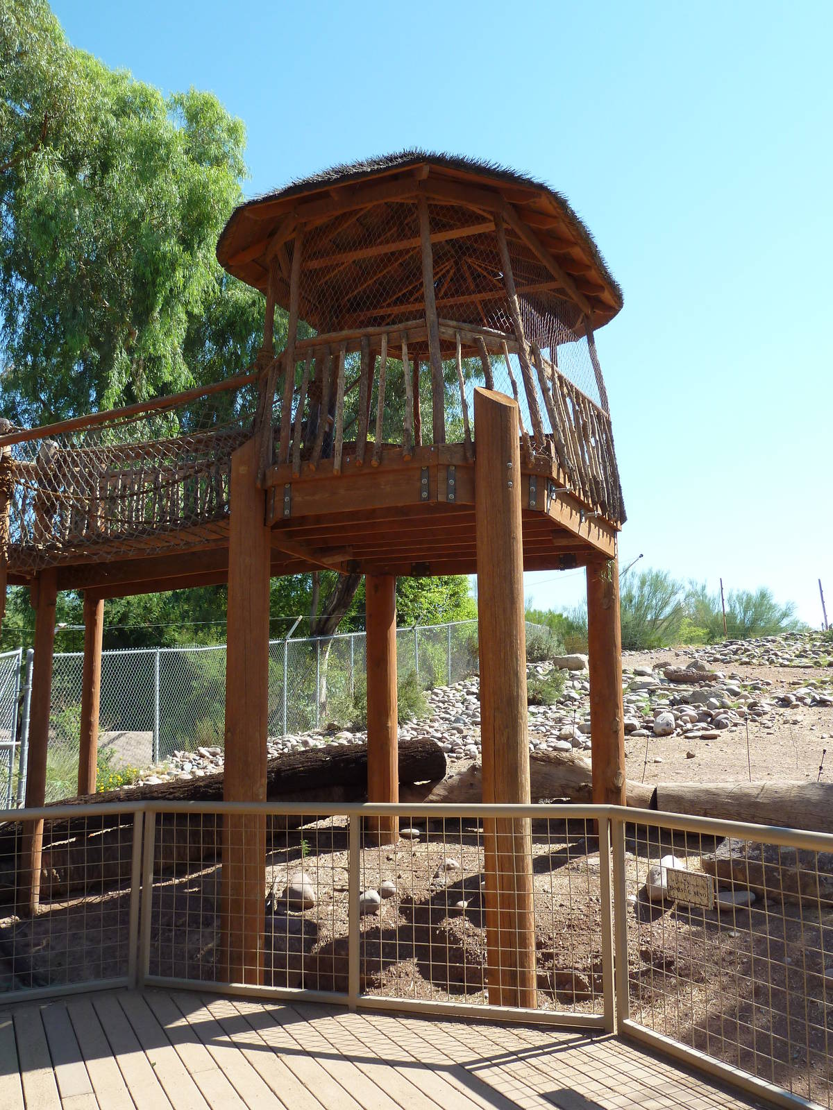 Mixed Species African Savanna