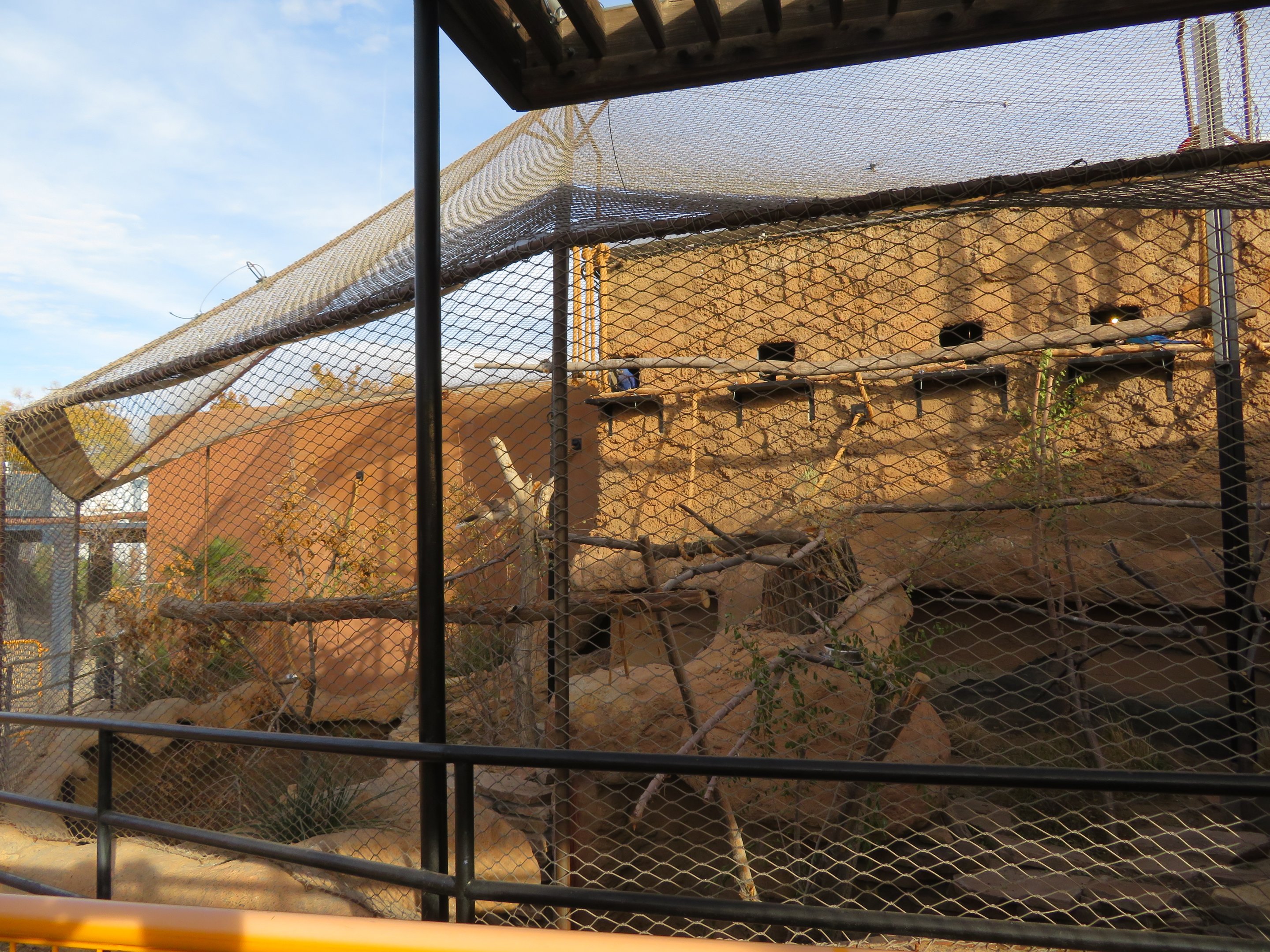 Mixed Species Aviary (4 spp)