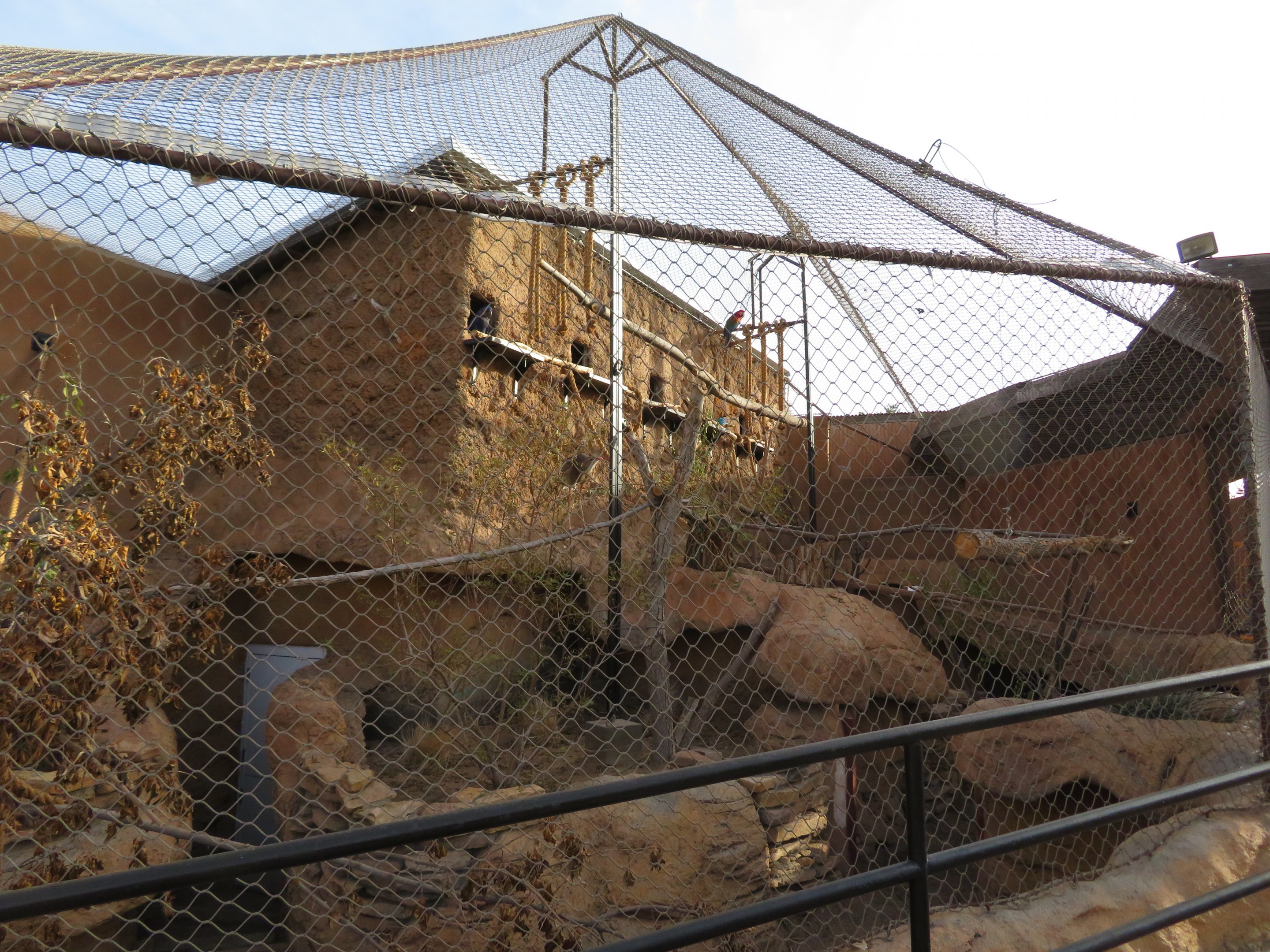 Mixed Species Aviary (4 spp)