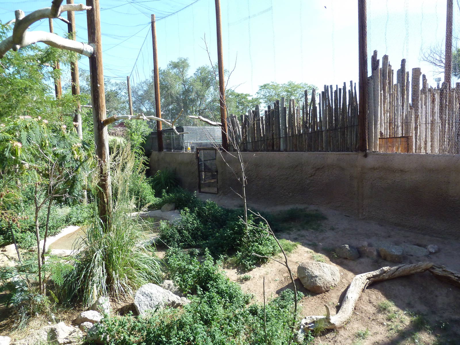 Mixed-Species Aviary (7 Species)