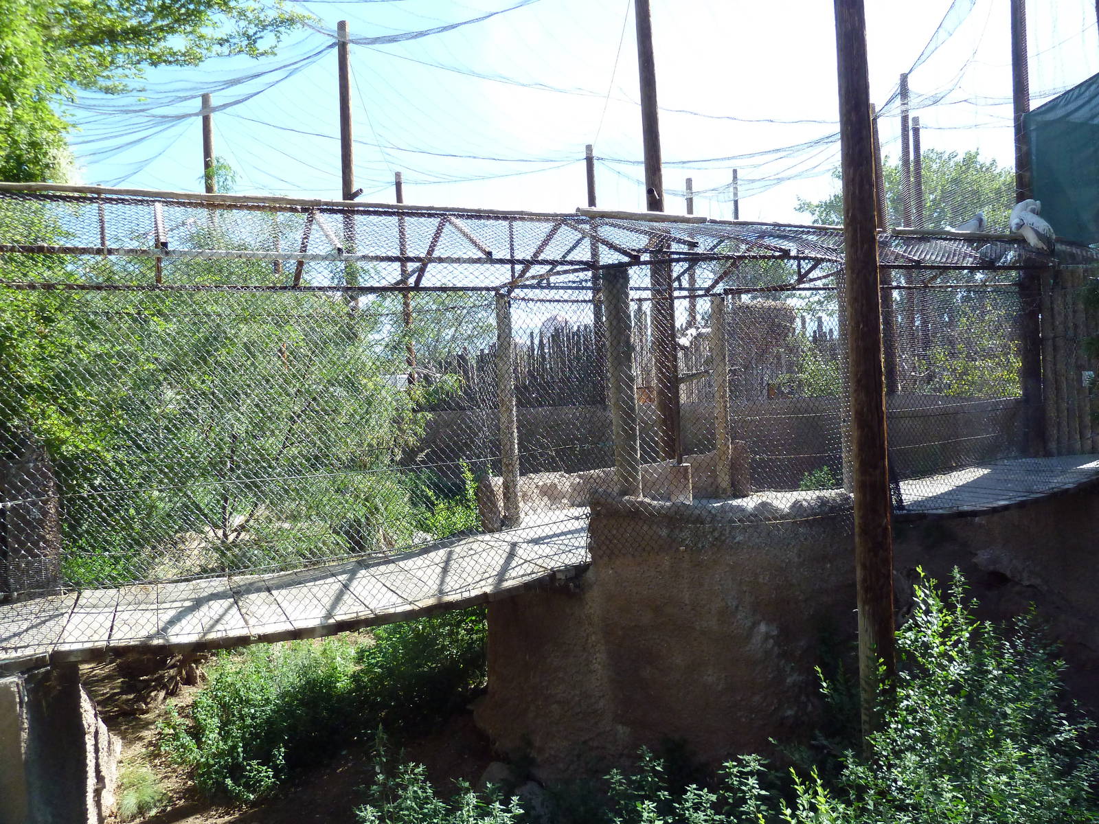 Mixed-Species Aviary (7 Species)