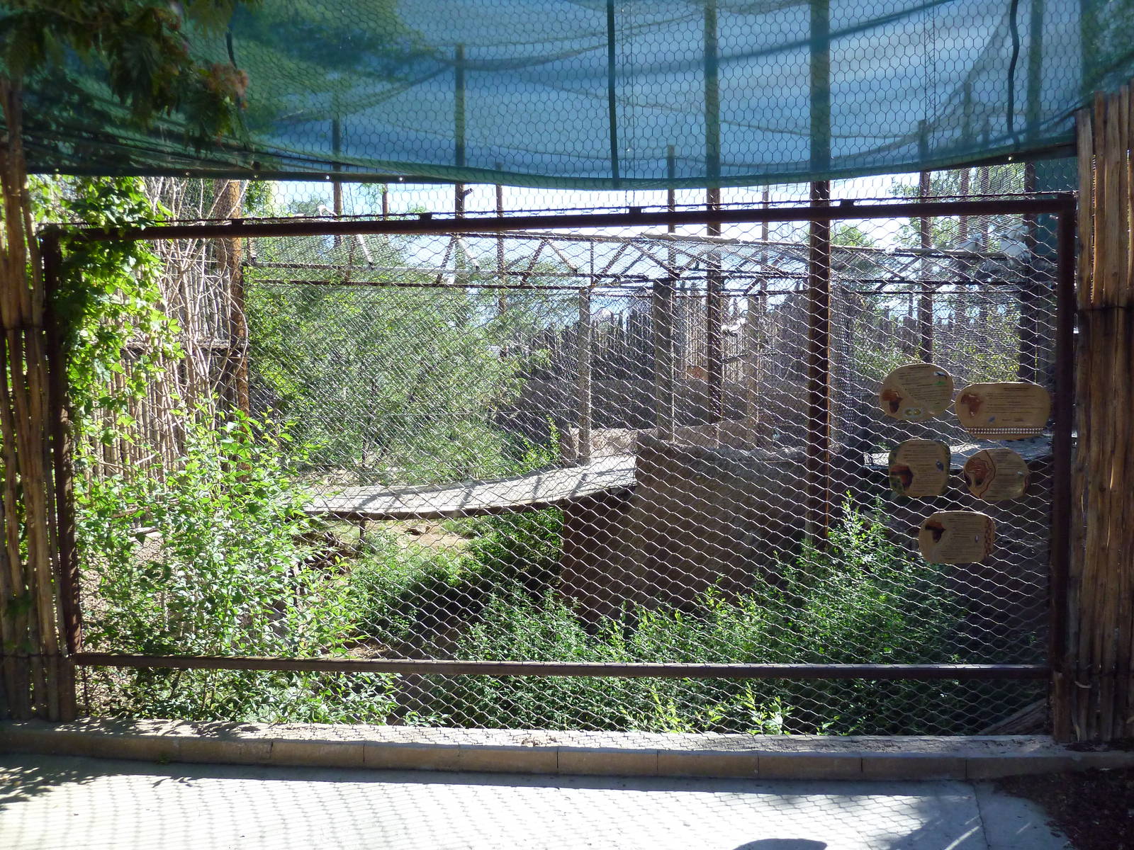 Mixed-Species Aviary (7 Species)