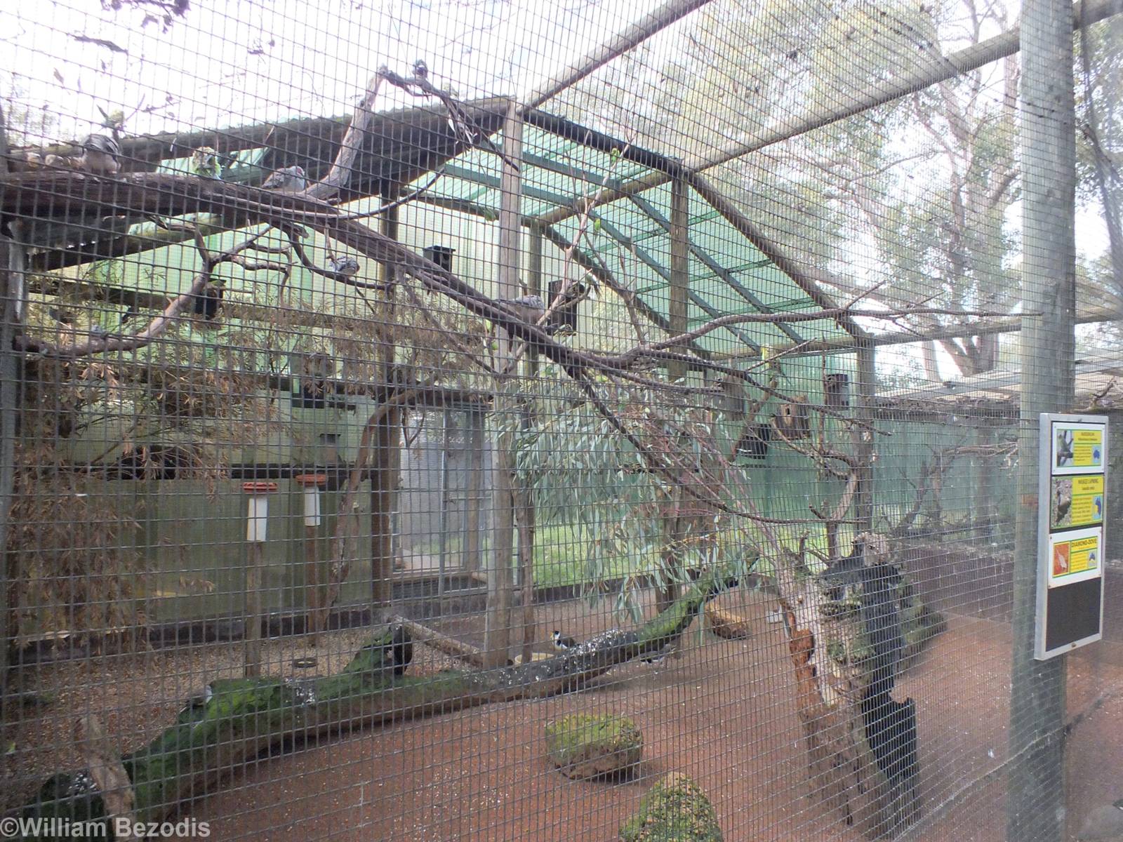 Mixed Species Aviary - Caversham Wildlife Park