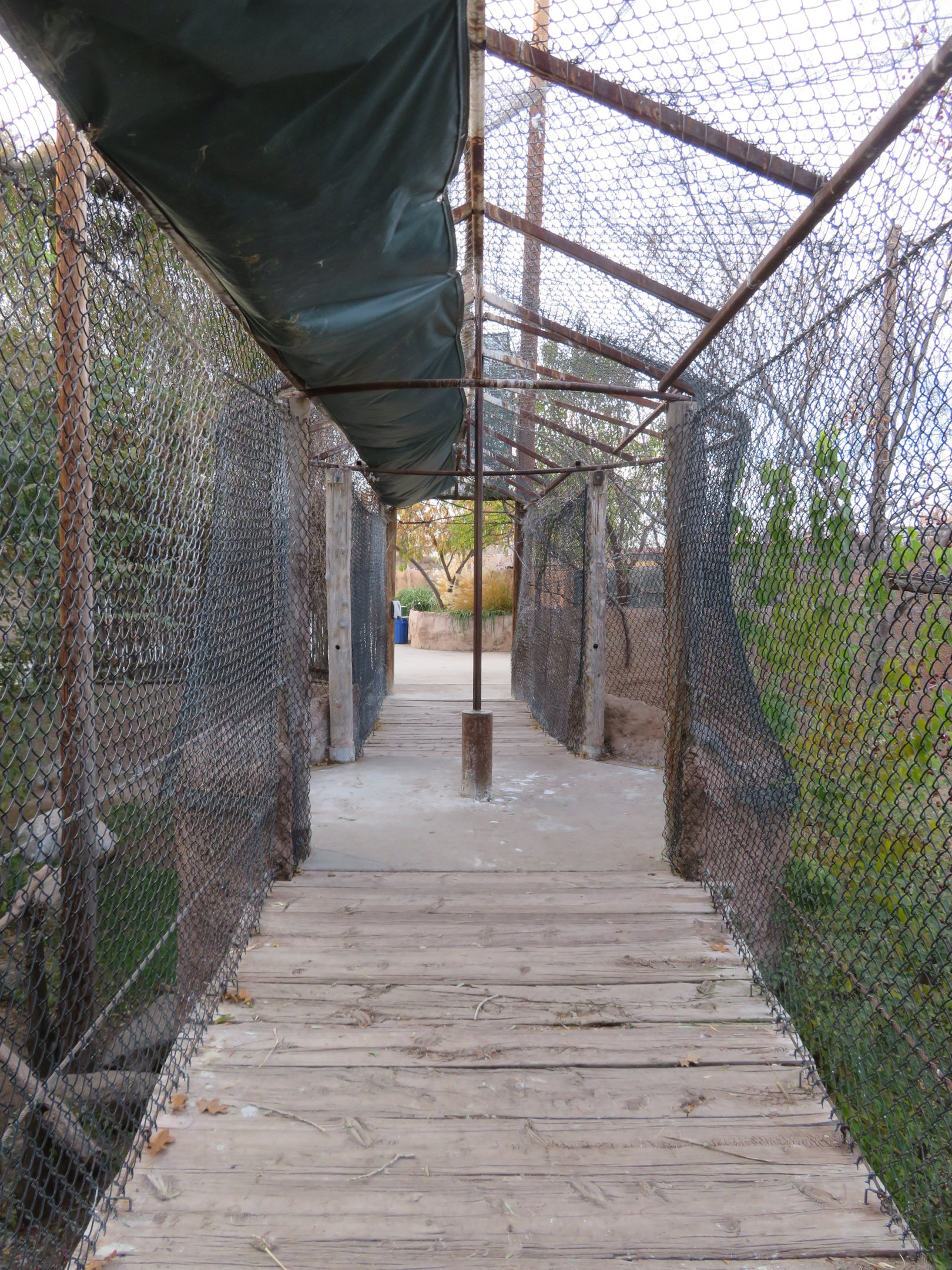 Mixed-Species Aviary Tunnel (4 spp)