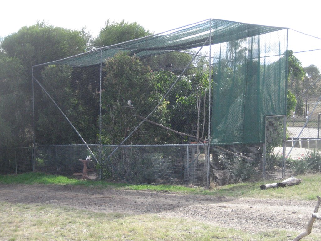 Mixed species aviary
