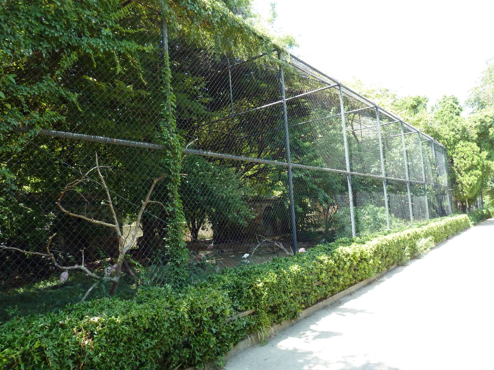 Mixed-Species Aviary