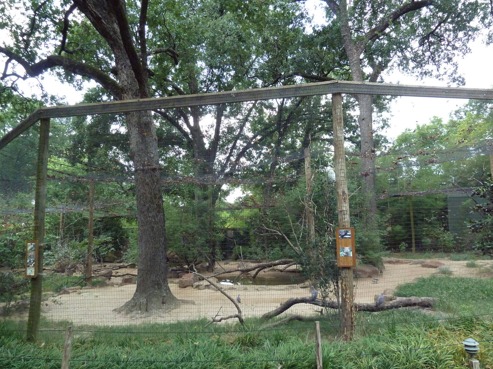 Mixed-Species Aviary