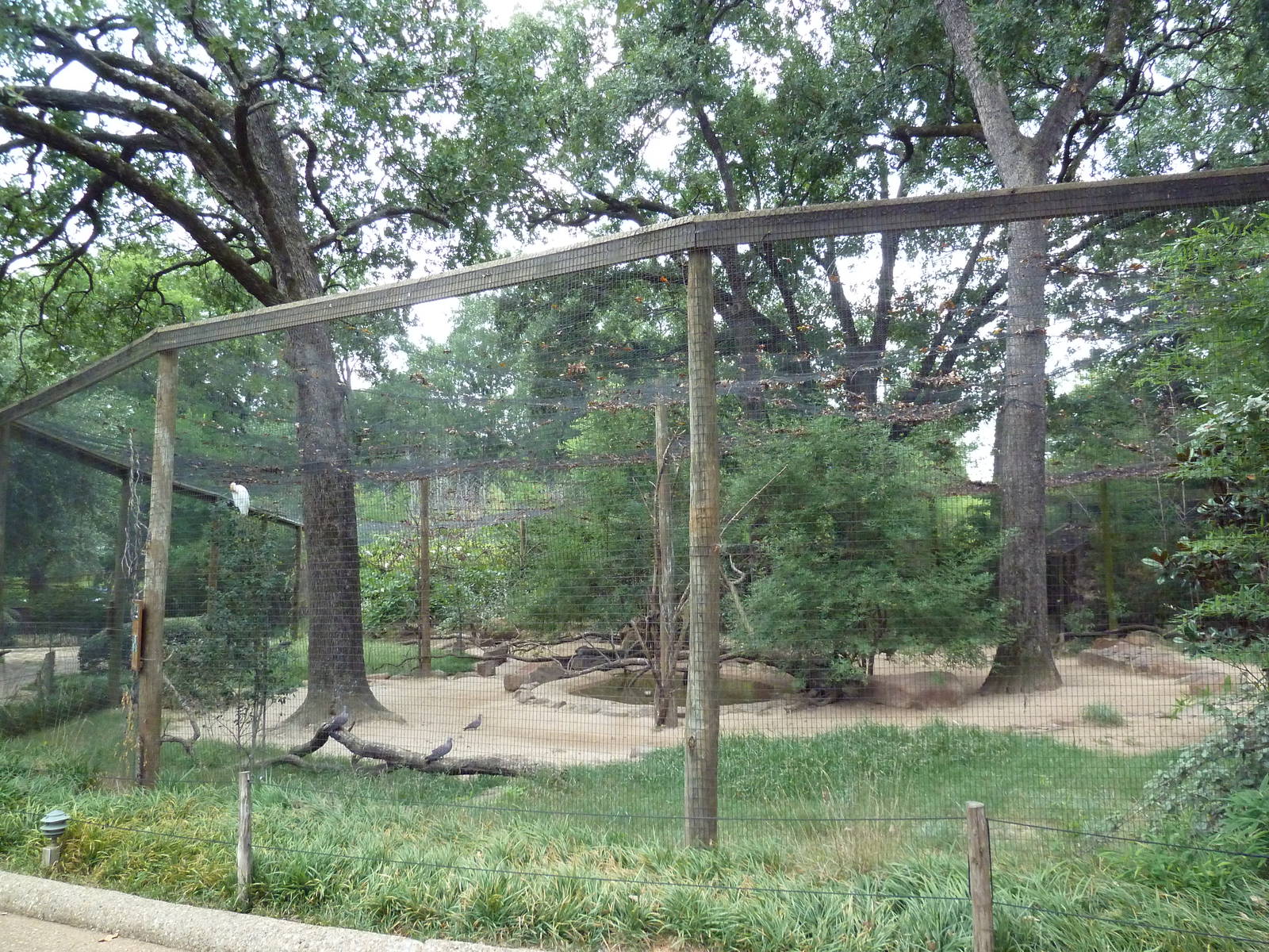 Mixed-Species Aviary