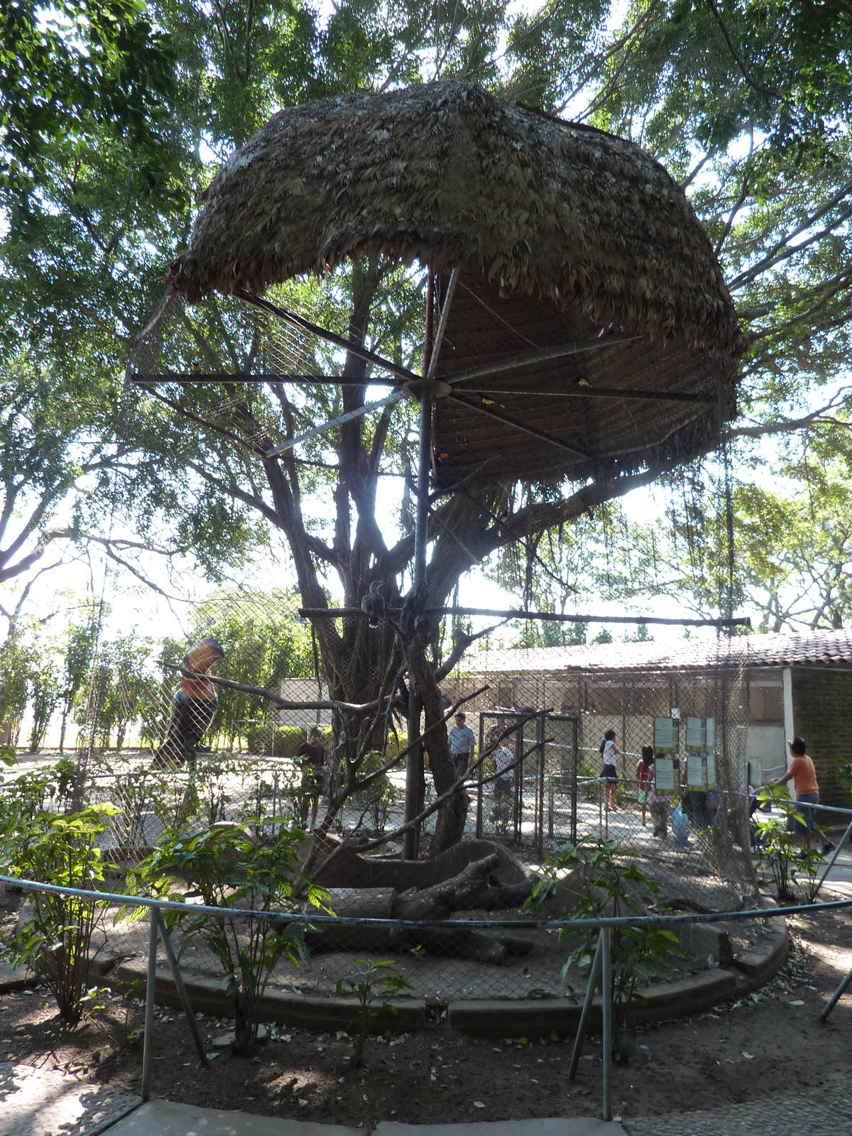 Mixed-species aviary