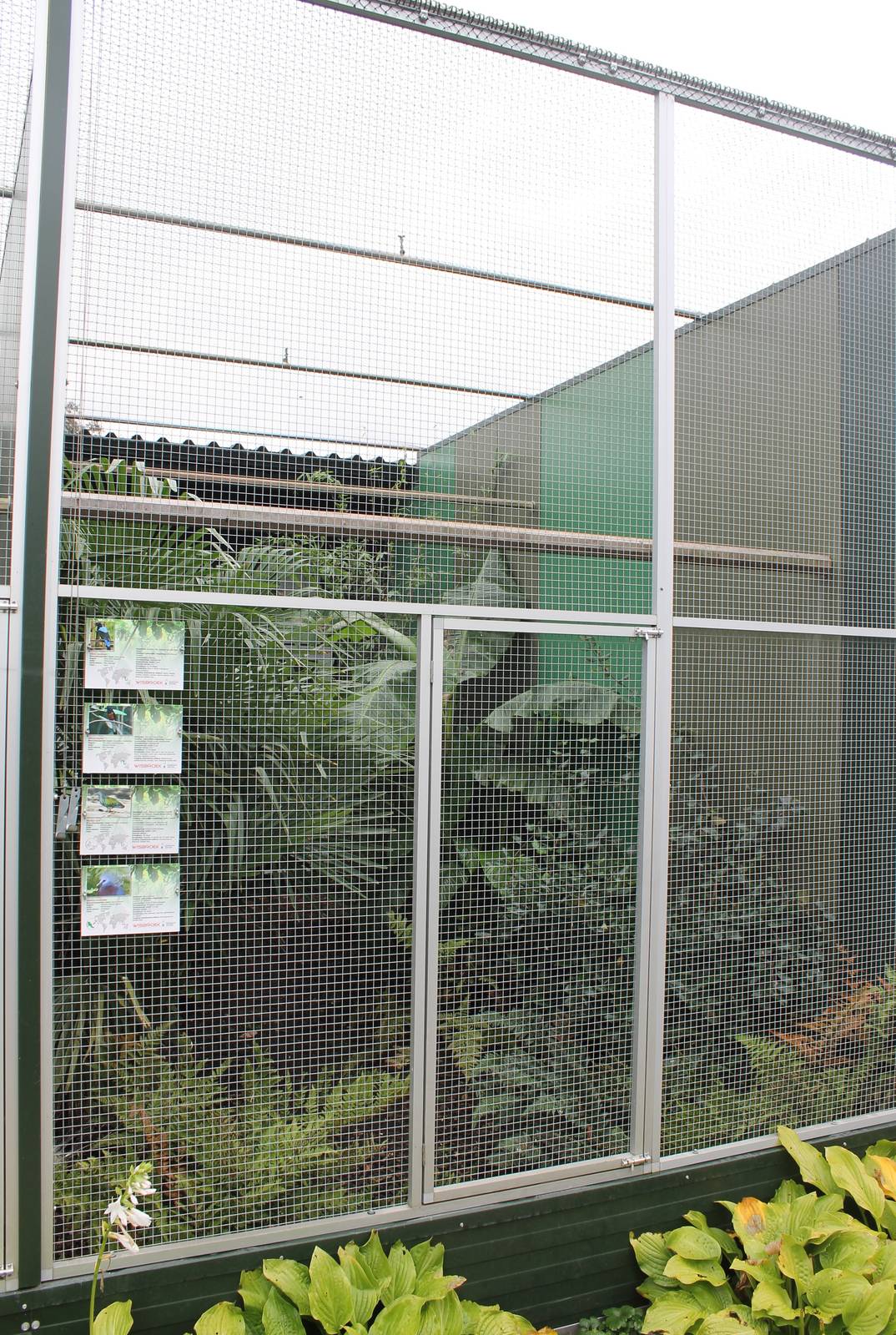 Mixed species aviary