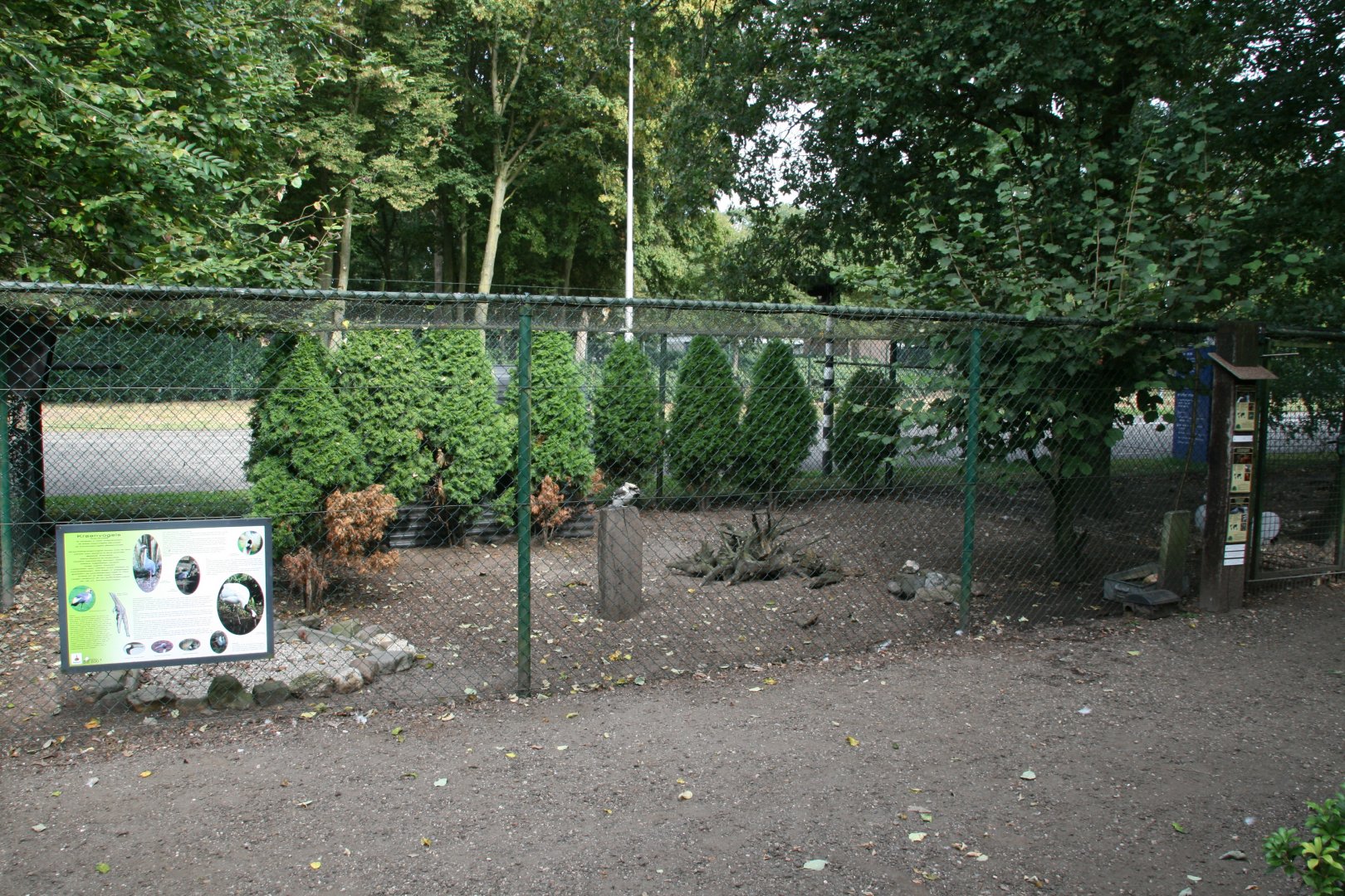 mixed species aviary