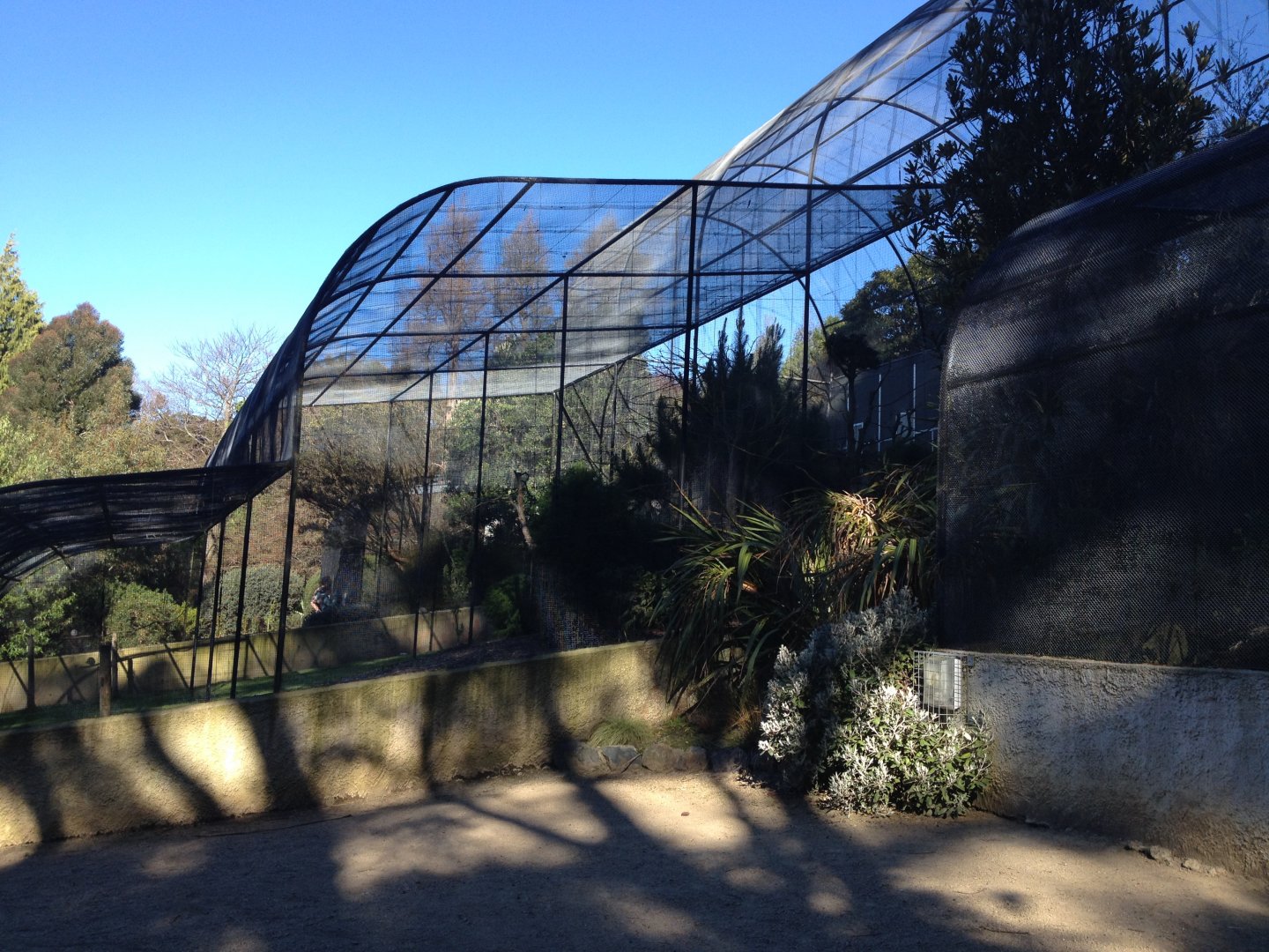 Mixed species aviary
