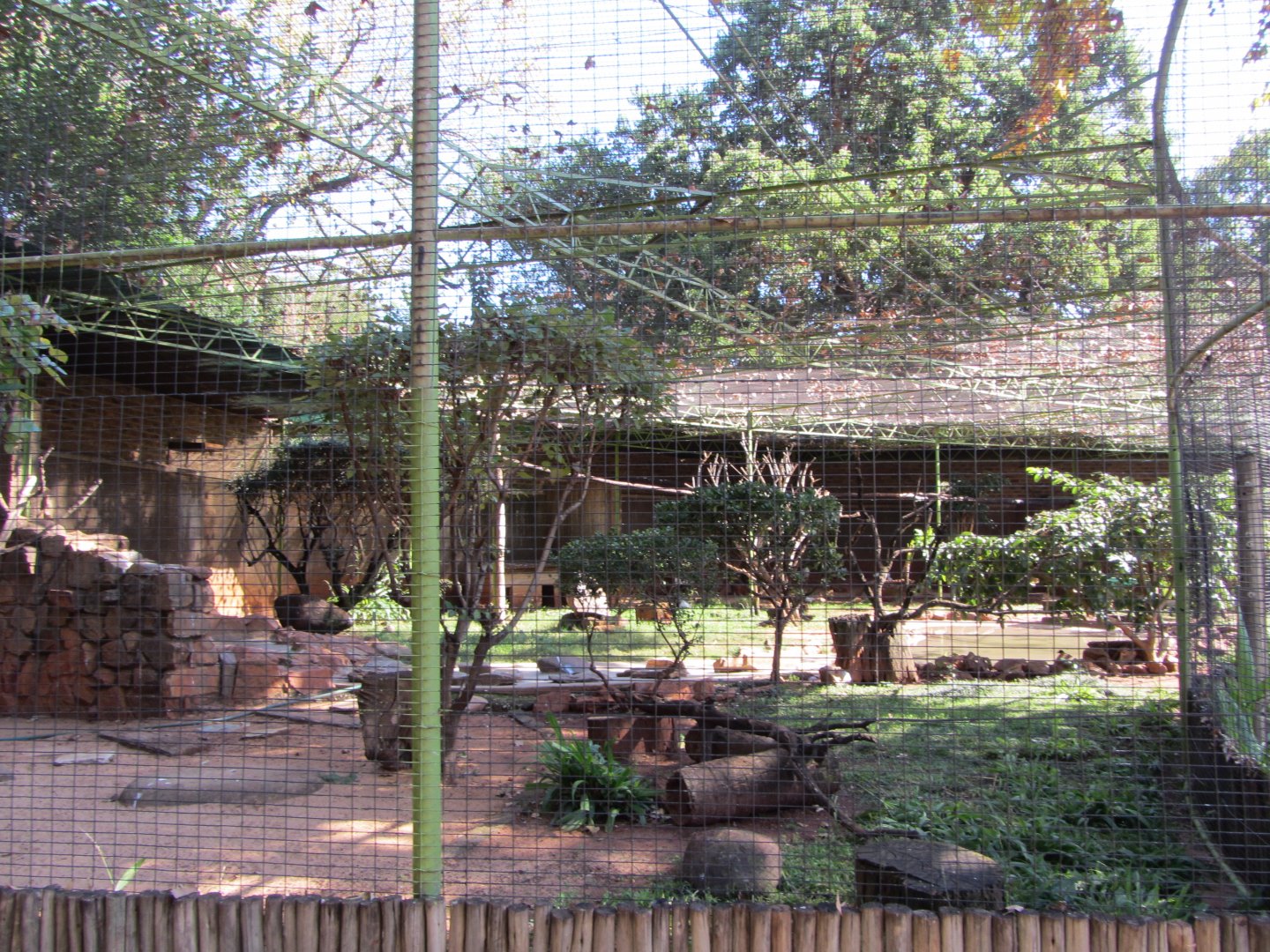 Mixed Species Aviary