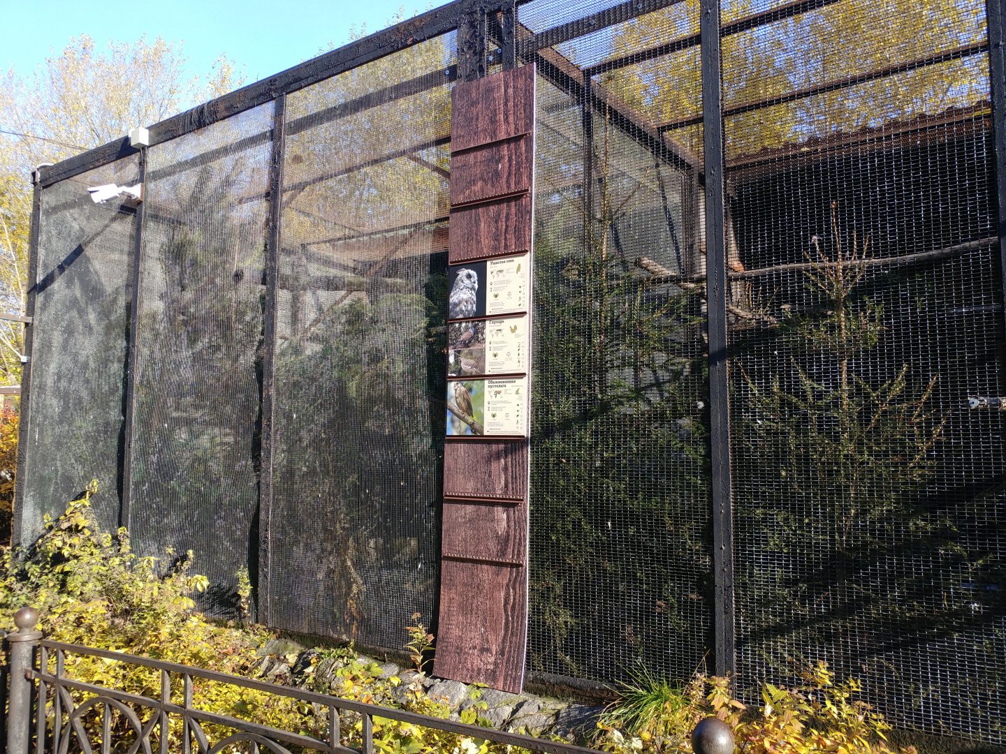 Mixed species aviary