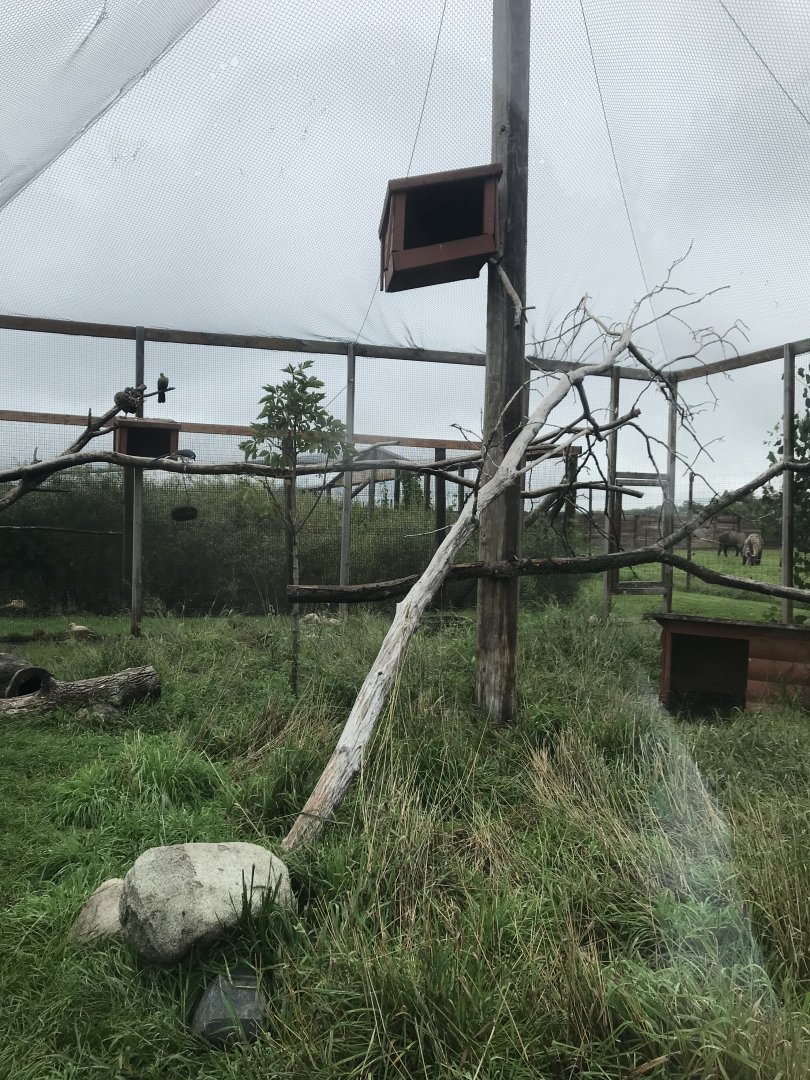 Mixed-Species Aviary