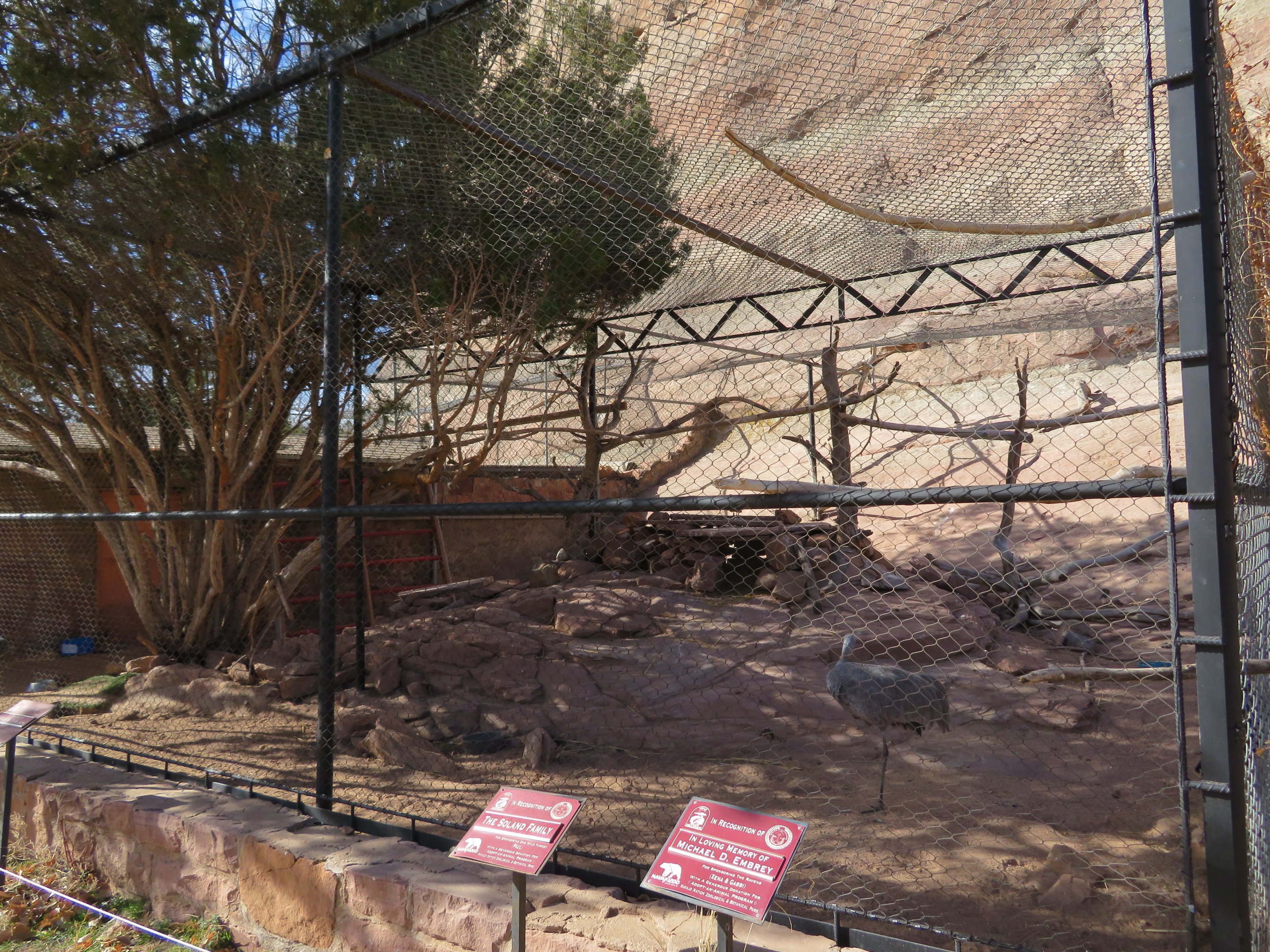 Mixed Species Aviary