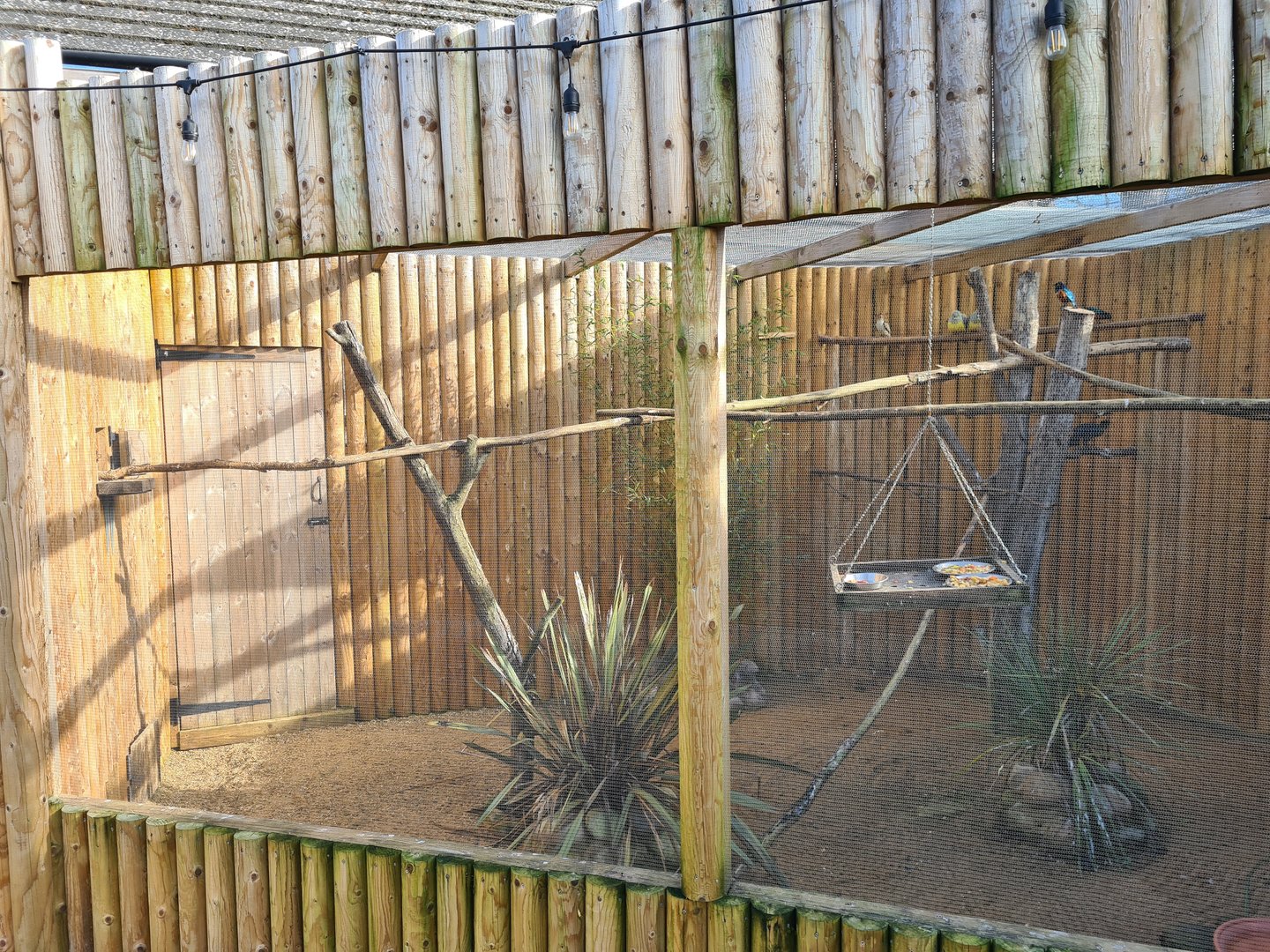 Mixed Species Aviary