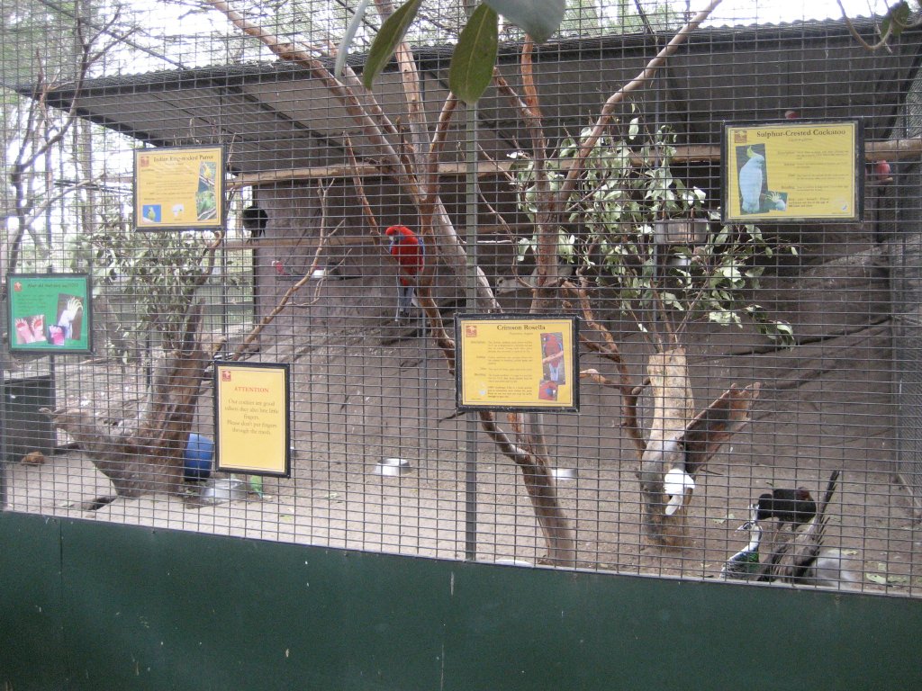 Mixed Species Aviary