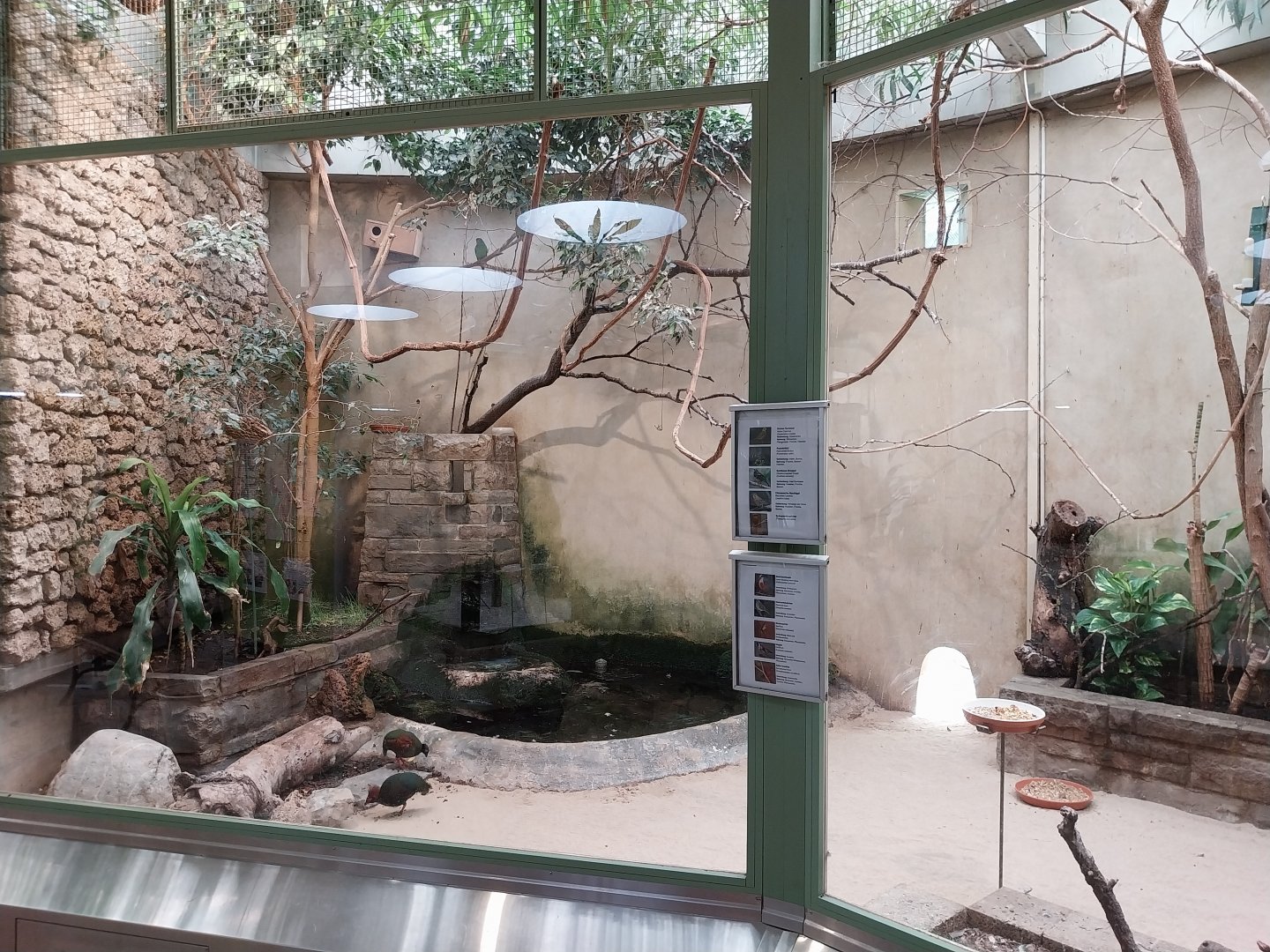 Mixed species aviary