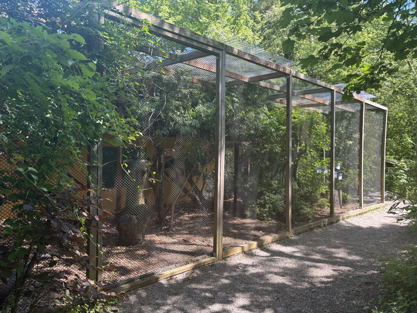 Mixed Species Aviary