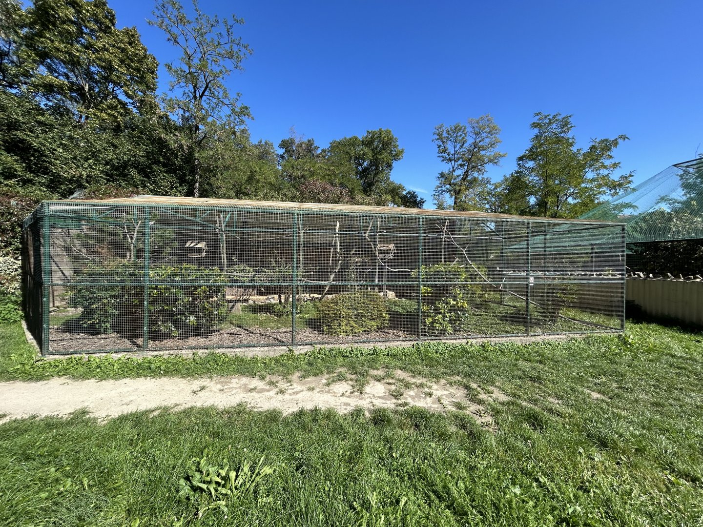 Mixed-species Aviary