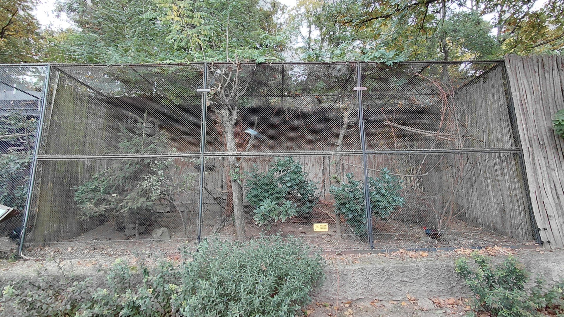 Mixed species aviary