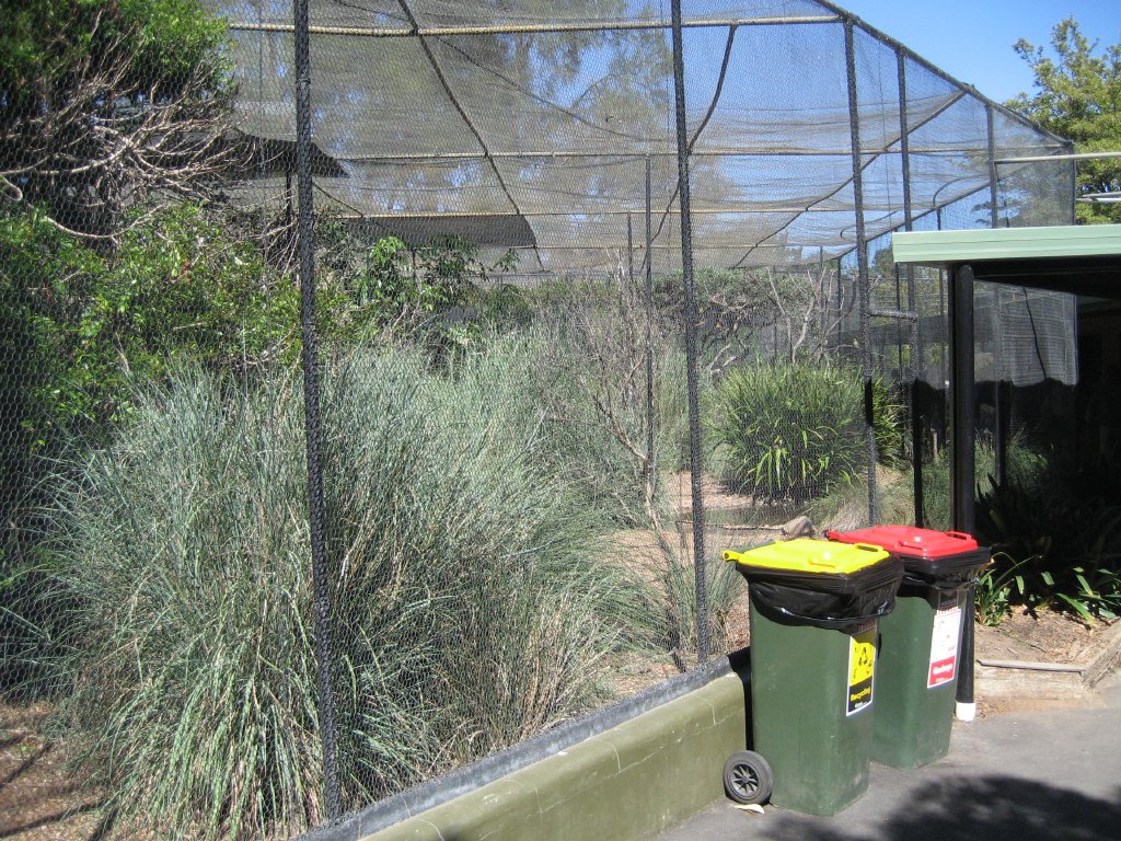 Mixed species aviary