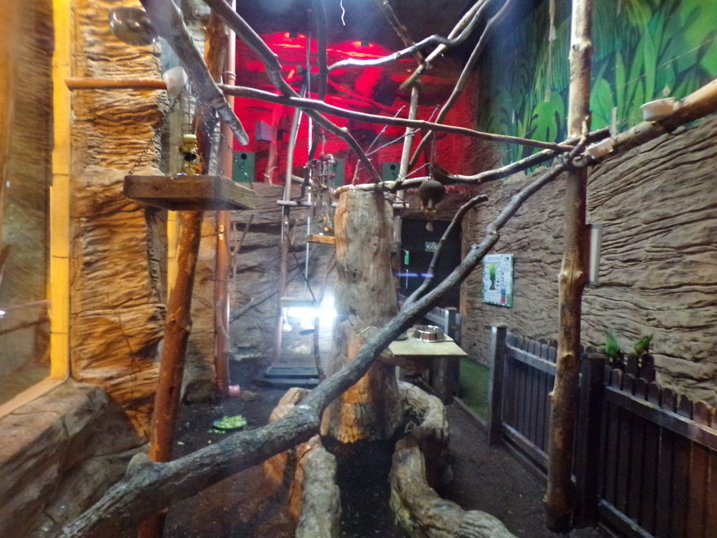 Mixed species enclosure 12.4.24