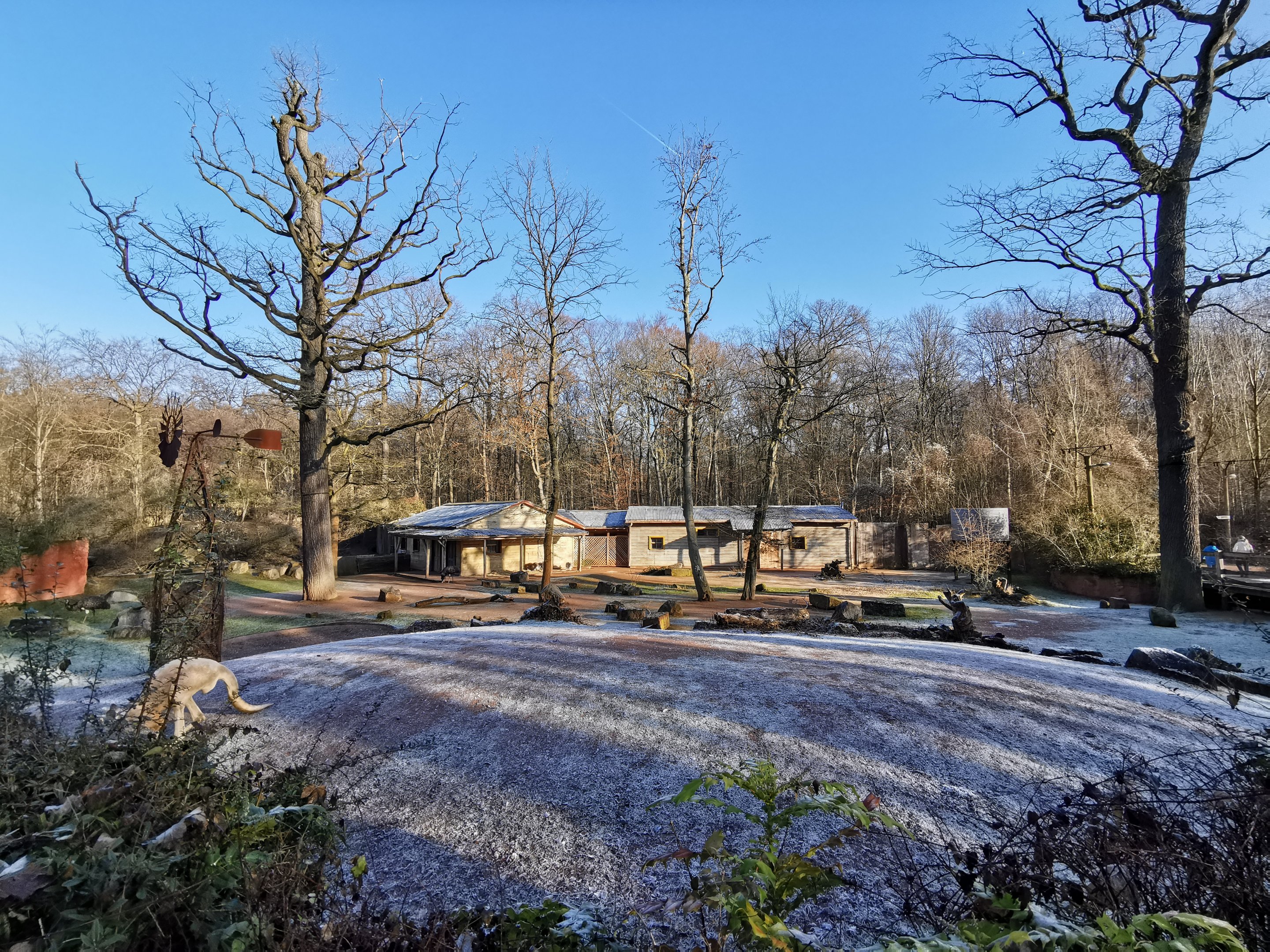 Mixed species enclosure - "Australian Outback"