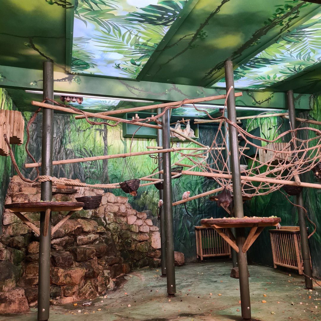 Mixed Species Enclosure, Drusillas Park