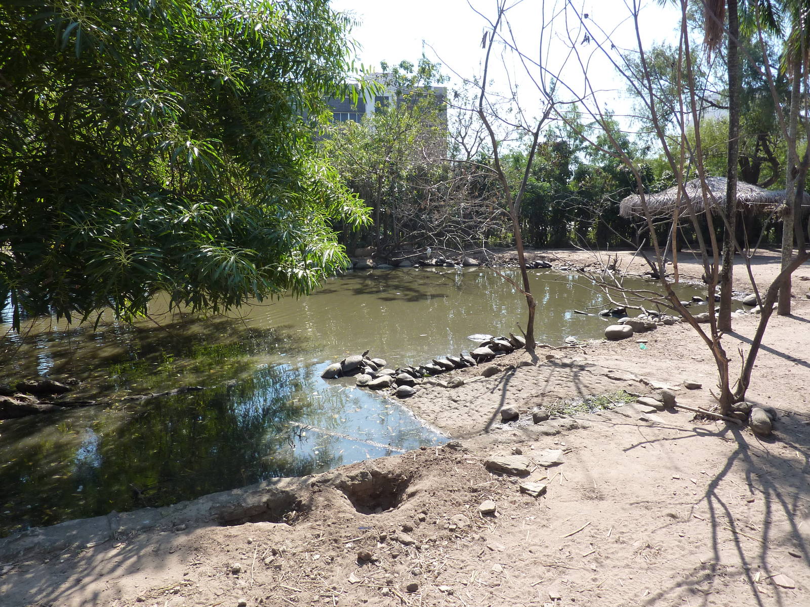 Mixed-species enclosure