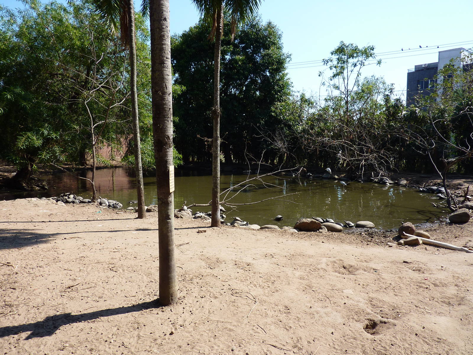 Mixed-species enclosure