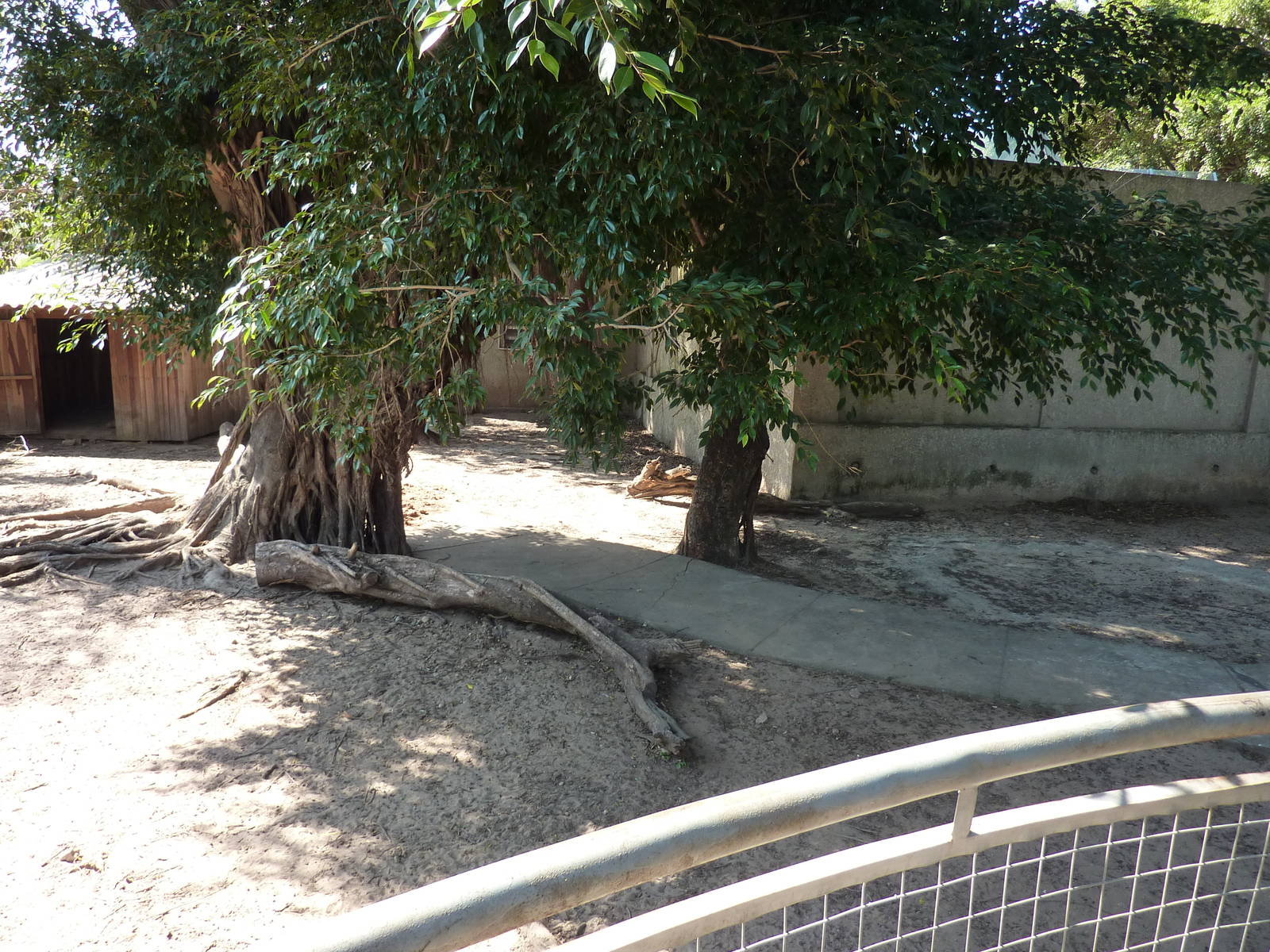 Mixed-species enclosure