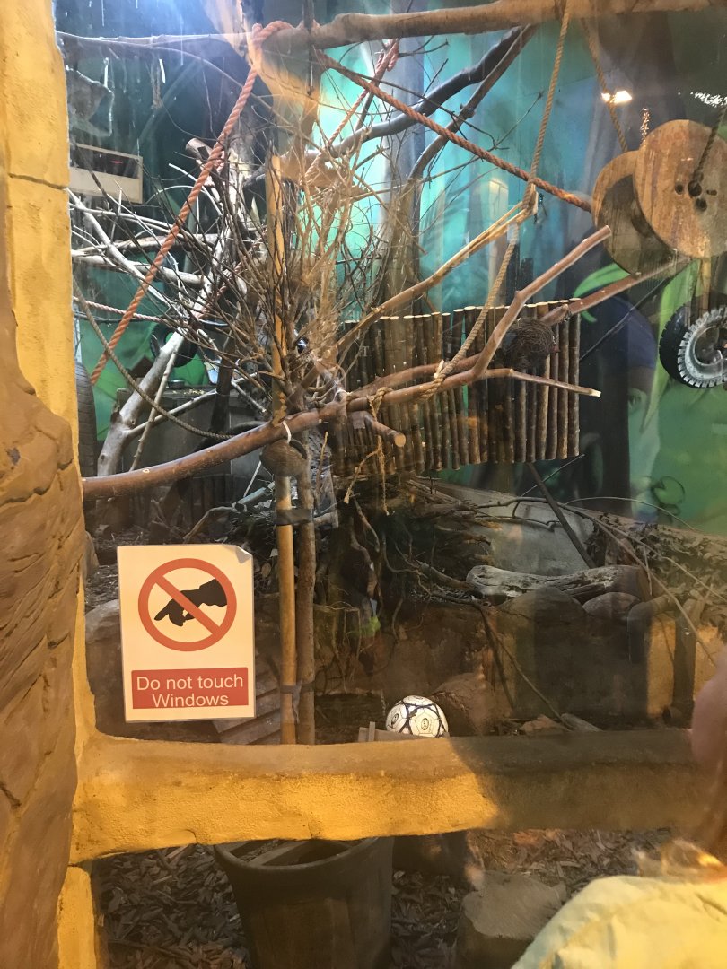 Mixed species enclosure