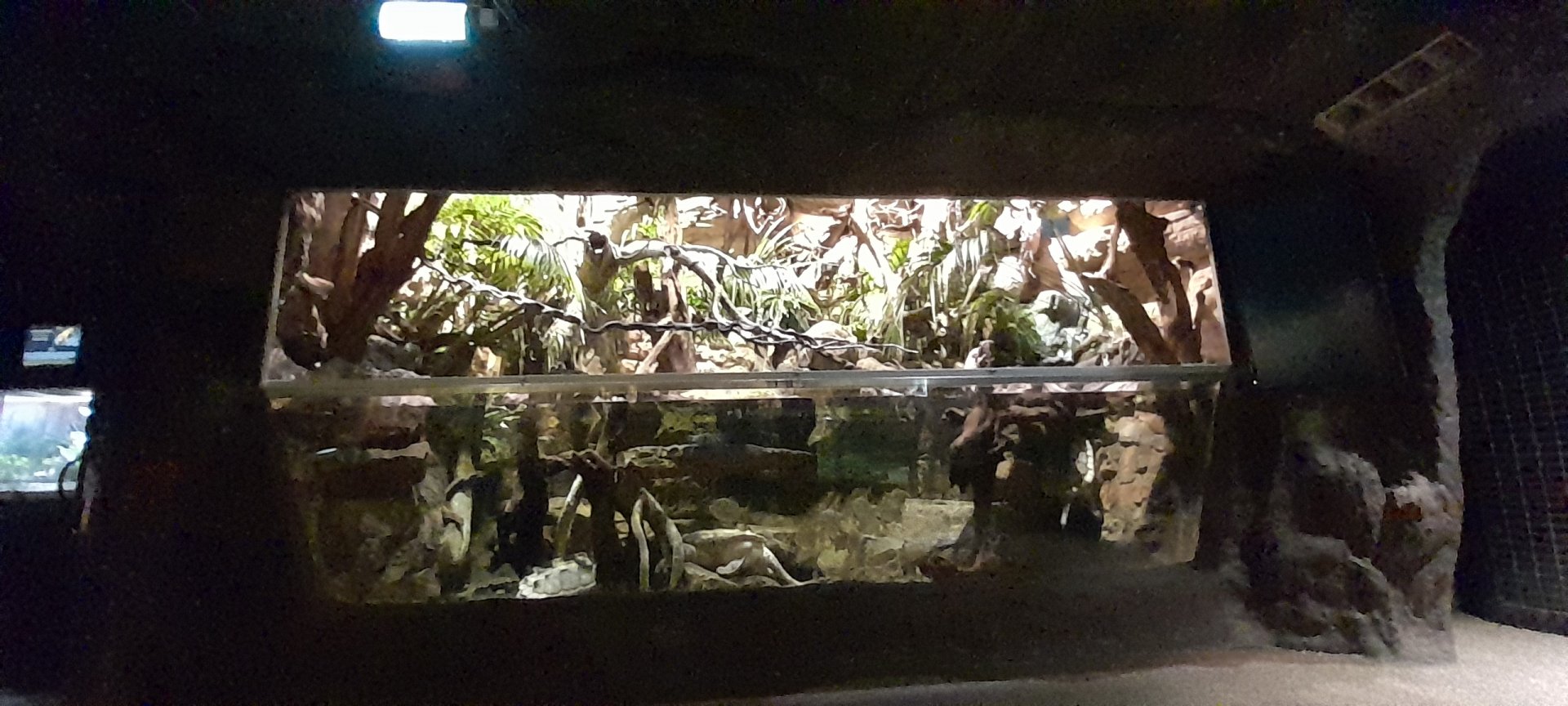 Mixed species enclosure