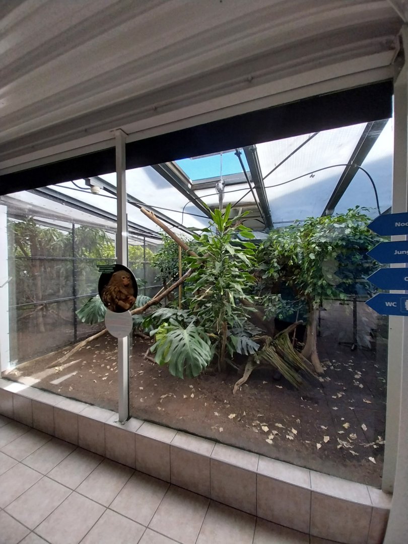 Mixed species enclosure