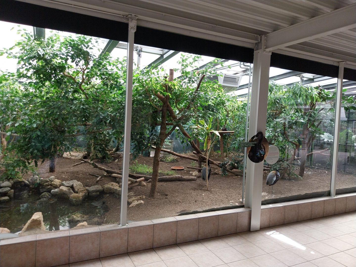 Mixed species enclosure