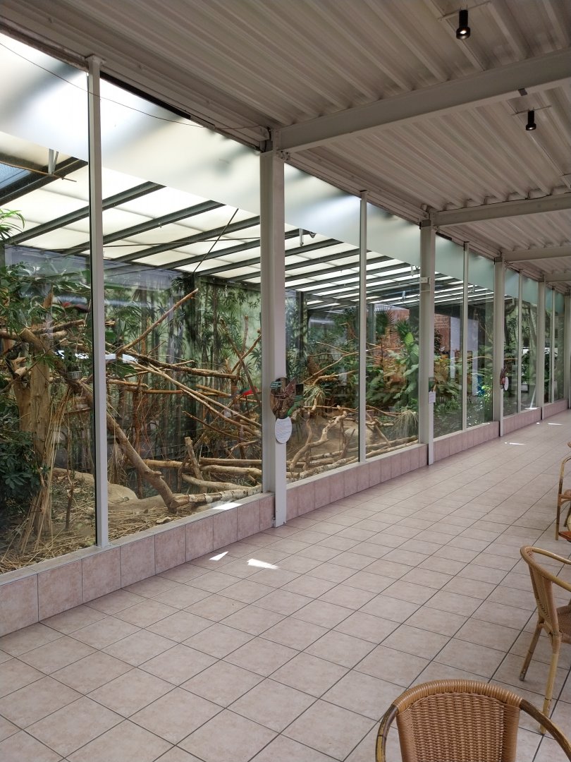 Mixed species enclosure