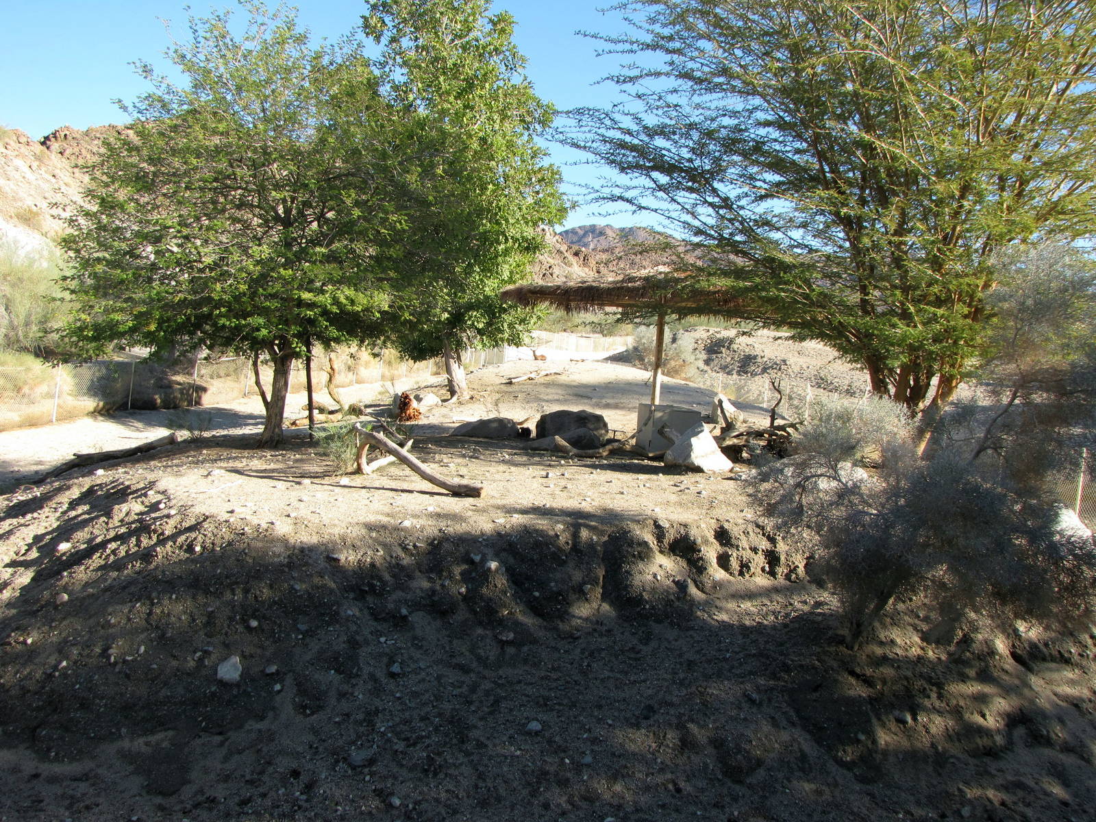 Mixed Species Enclosure