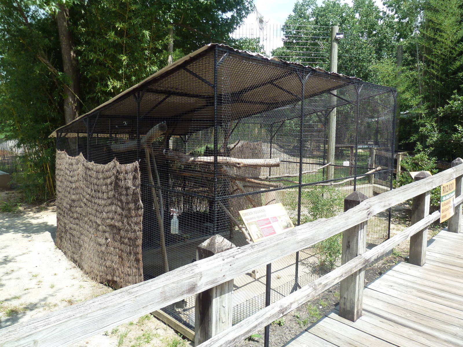 Mixed-Species Exhibit (3 Species)