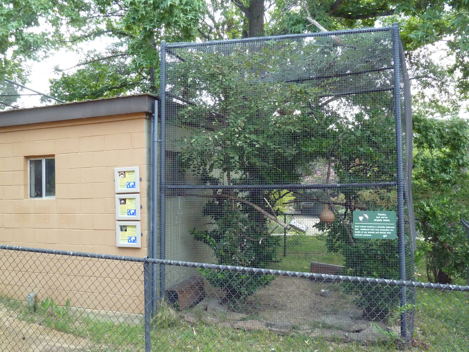 Mixed-Species Exhibit (3 Species)