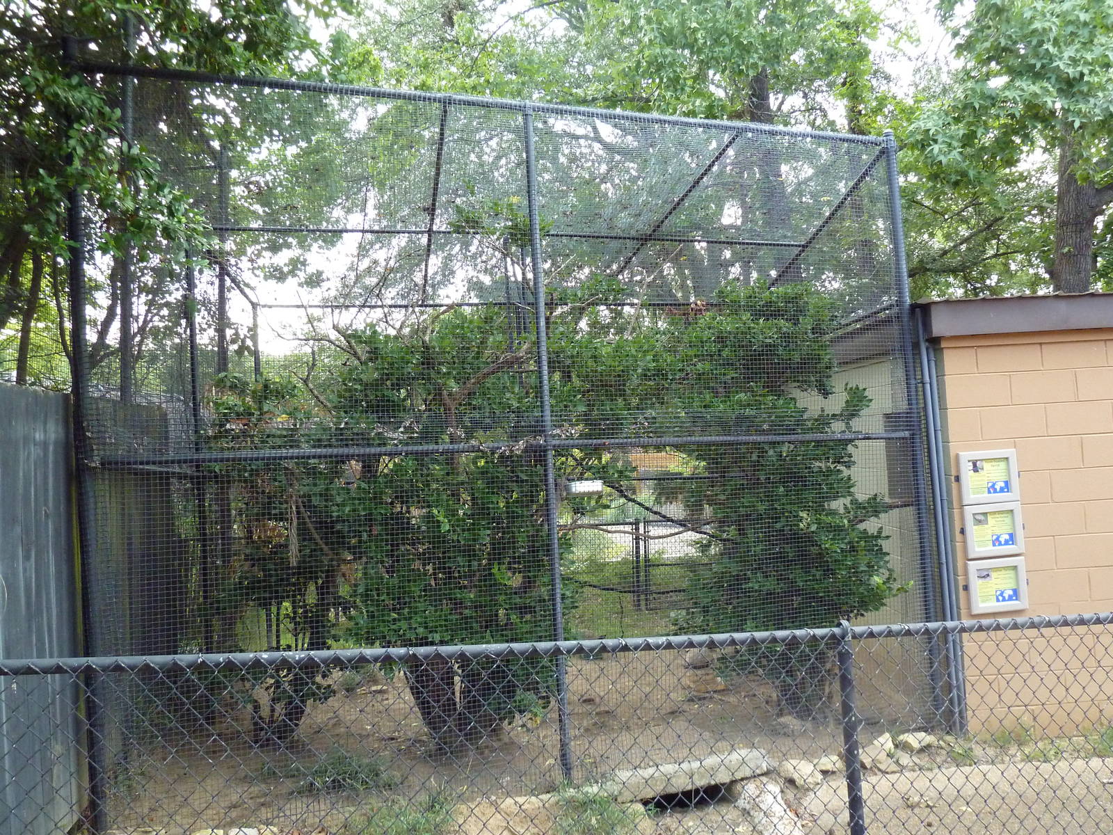 Mixed-Species Exhibit (3 Species)