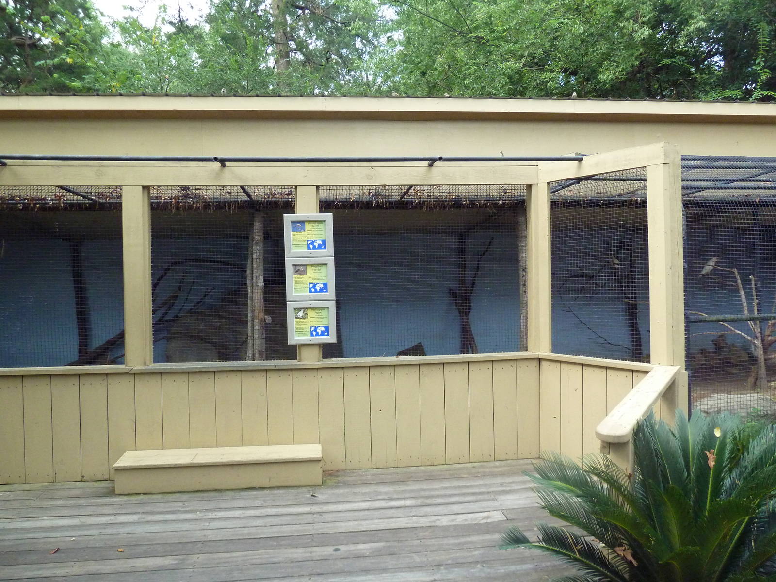 Mixed-Species Exhibit (3 Species)