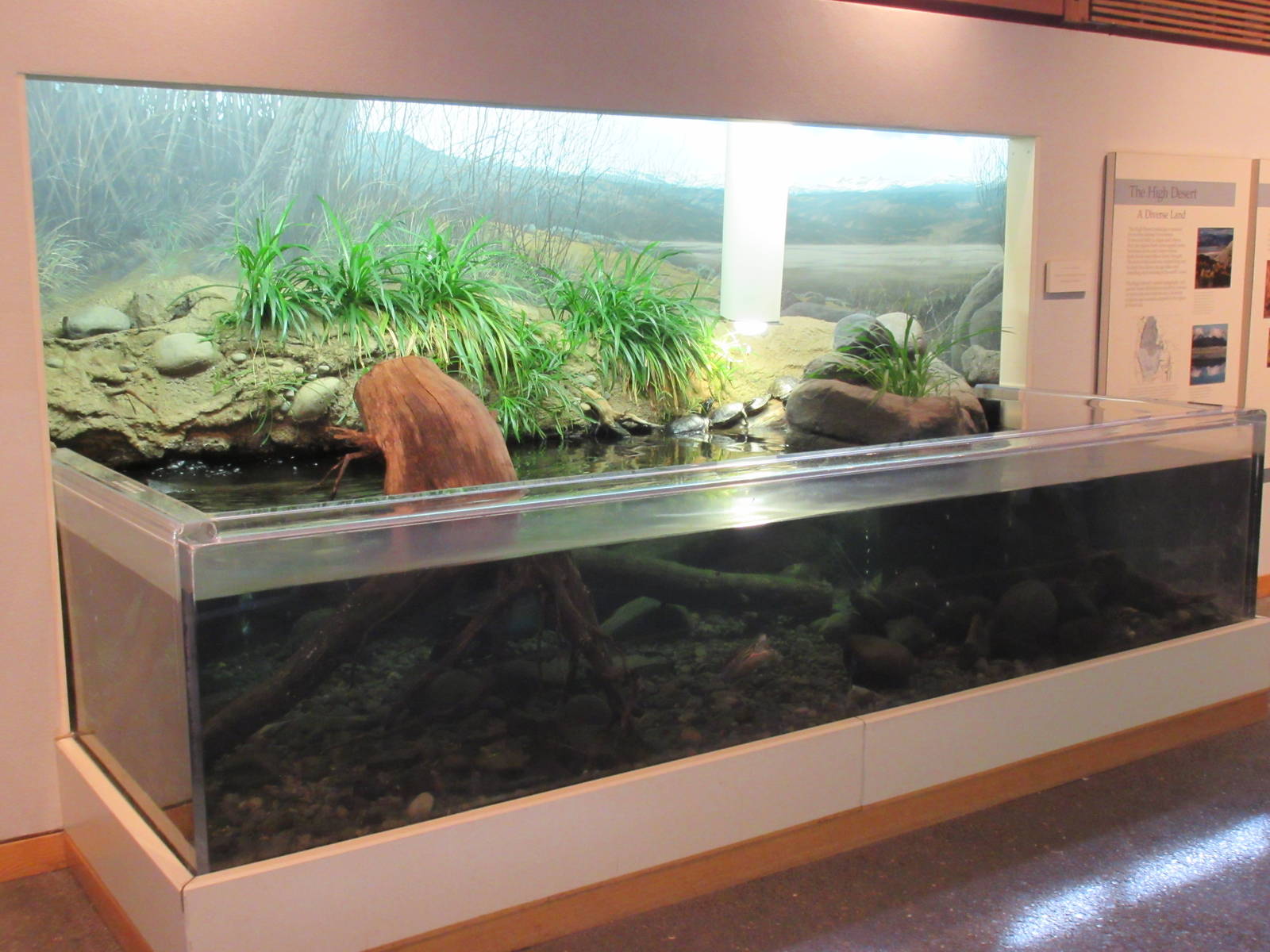 Mixed-Species Exhibit (3 Species)