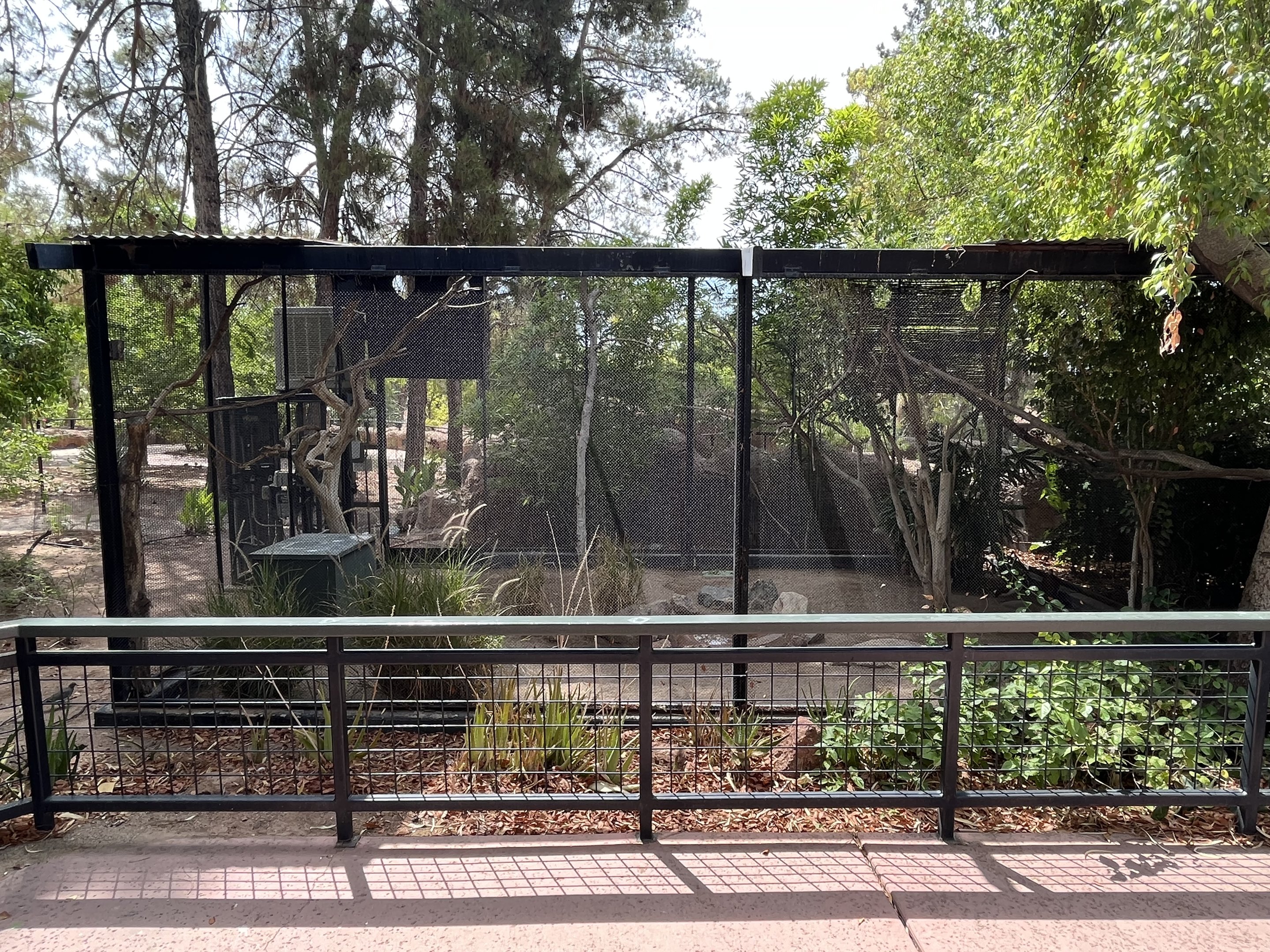 Mixed-species Exhibit (3 species)