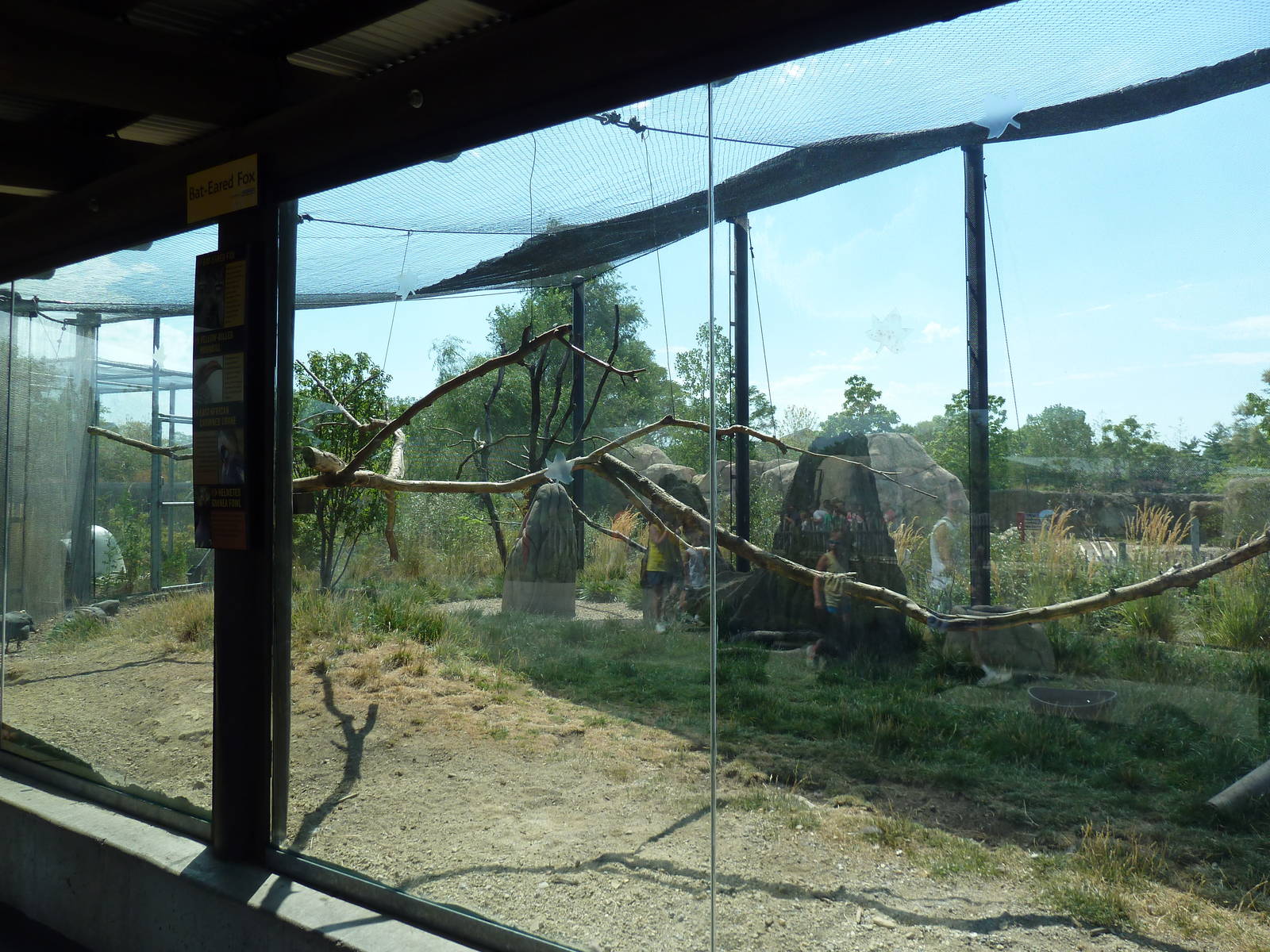 Mixed-Species Exhibit (4 Species)