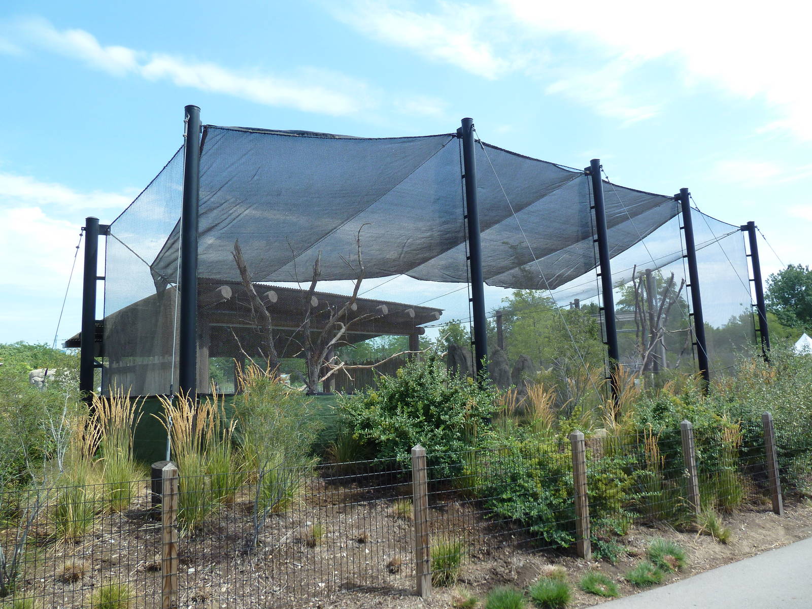 Mixed-Species Exhibit (4 Species)