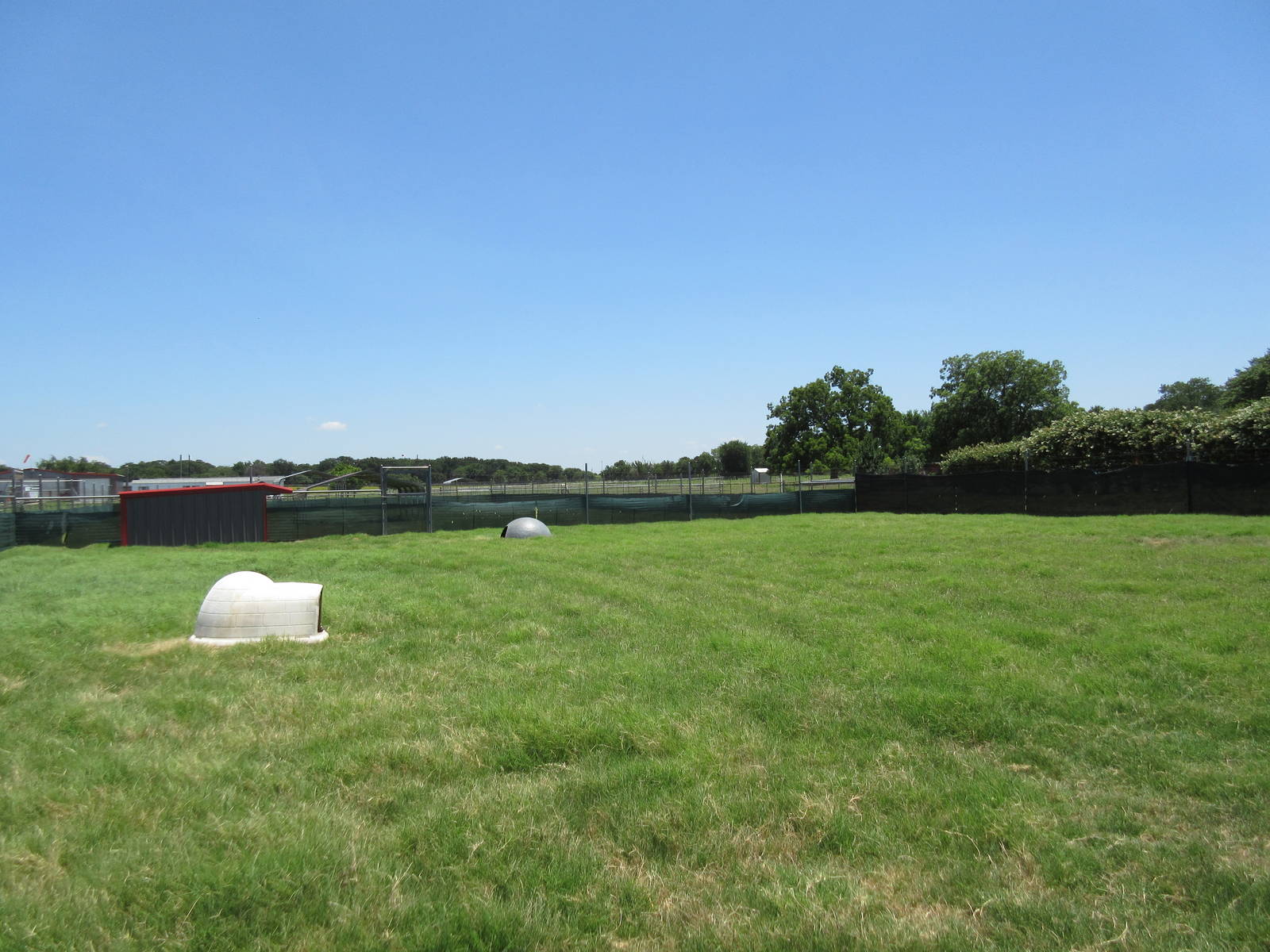 Mixed-Species Exhibit (5 Species)