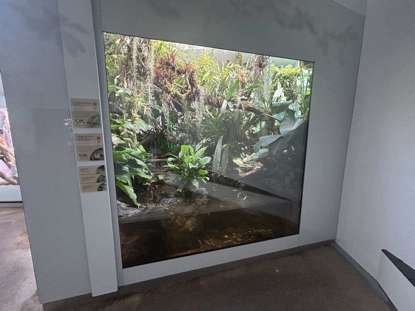 Mixed-species Exhibit - Conservation House