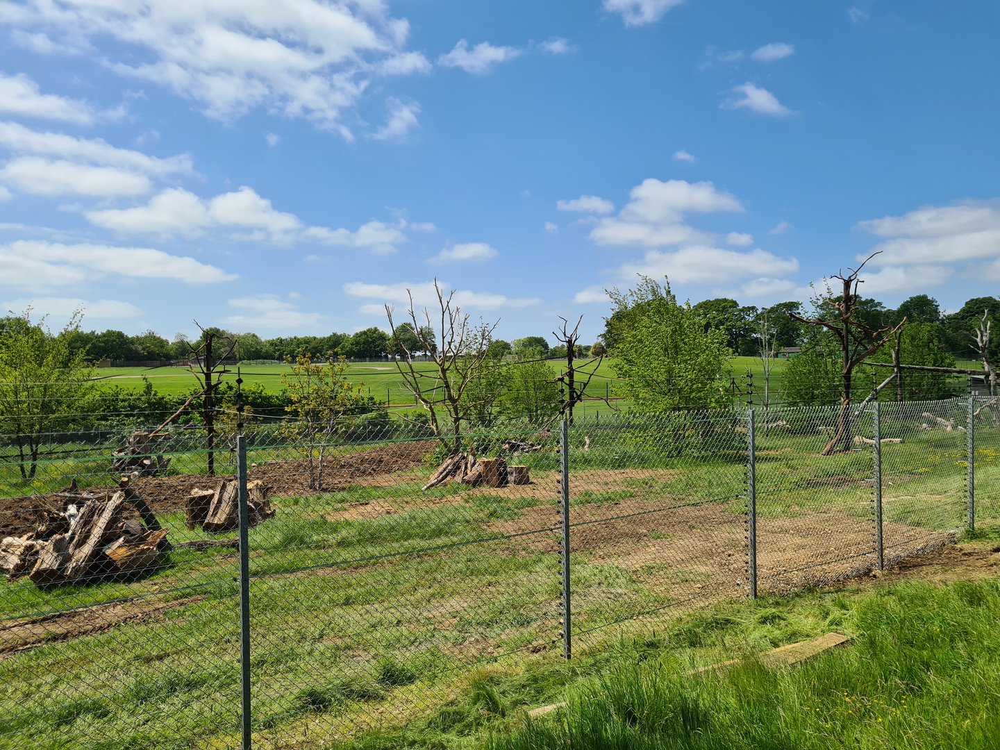 Mixed species exhibit developments